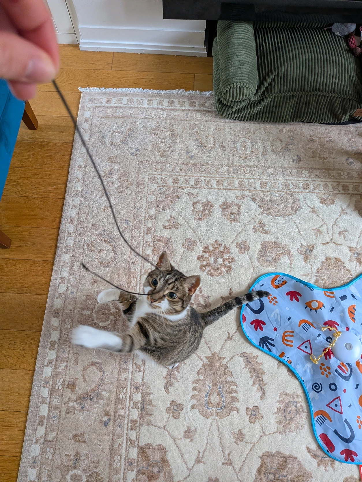 image-9