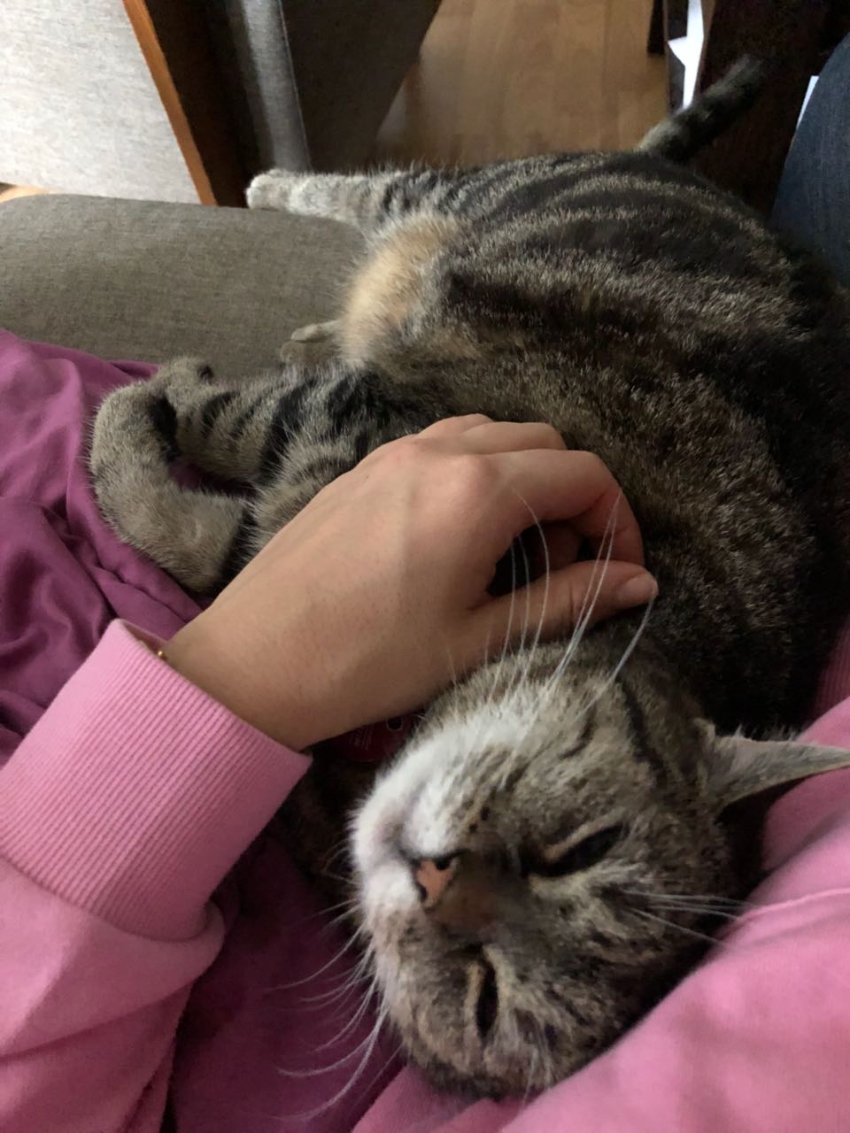 image-9