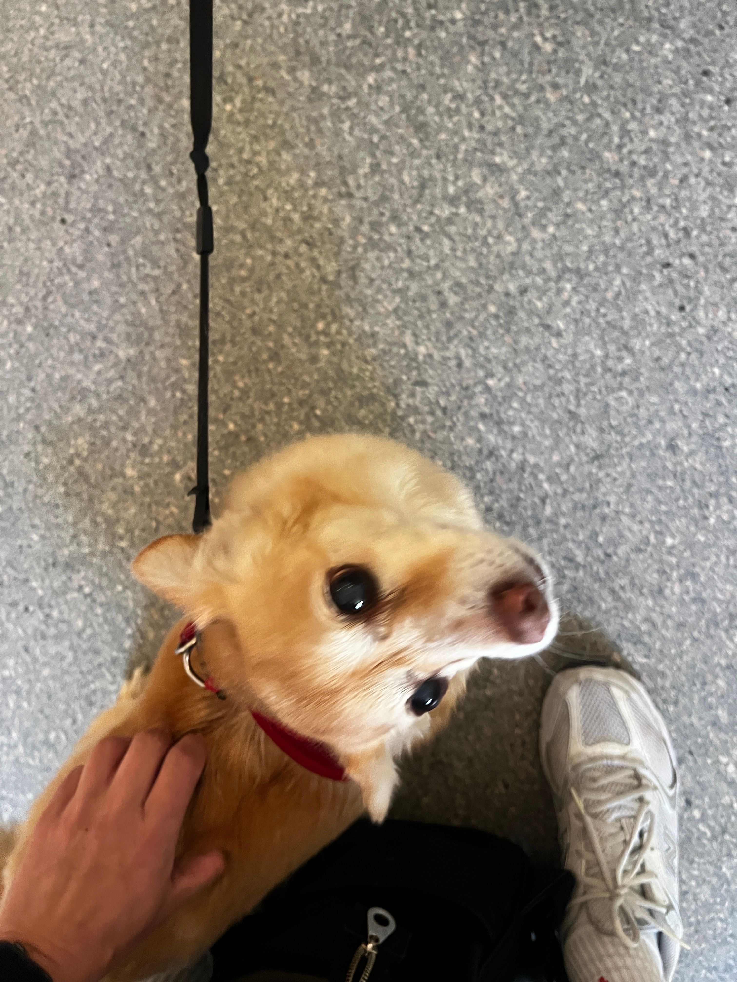 image-6