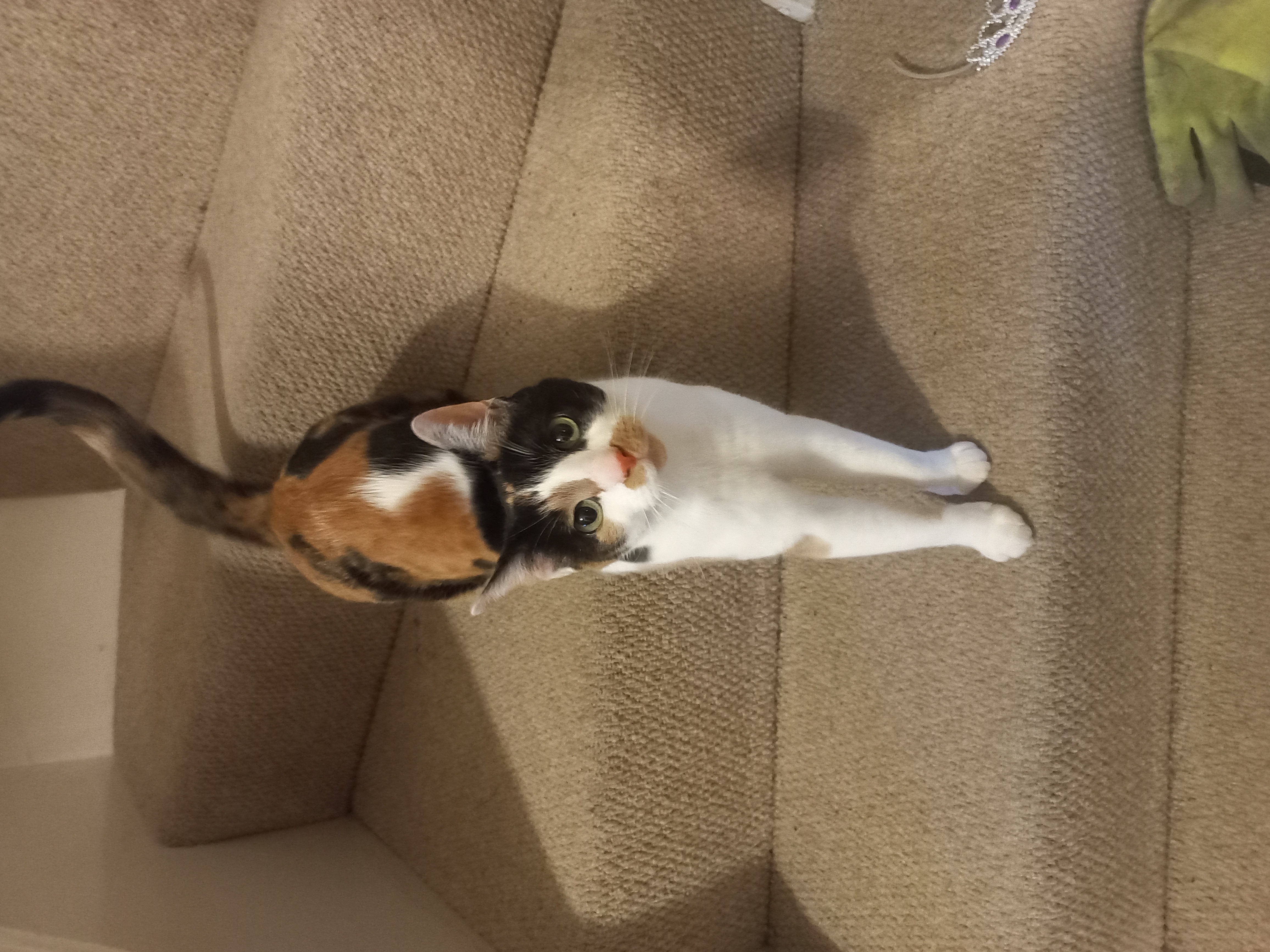 image-14