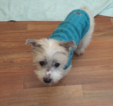 image-20