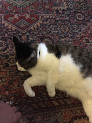image-6