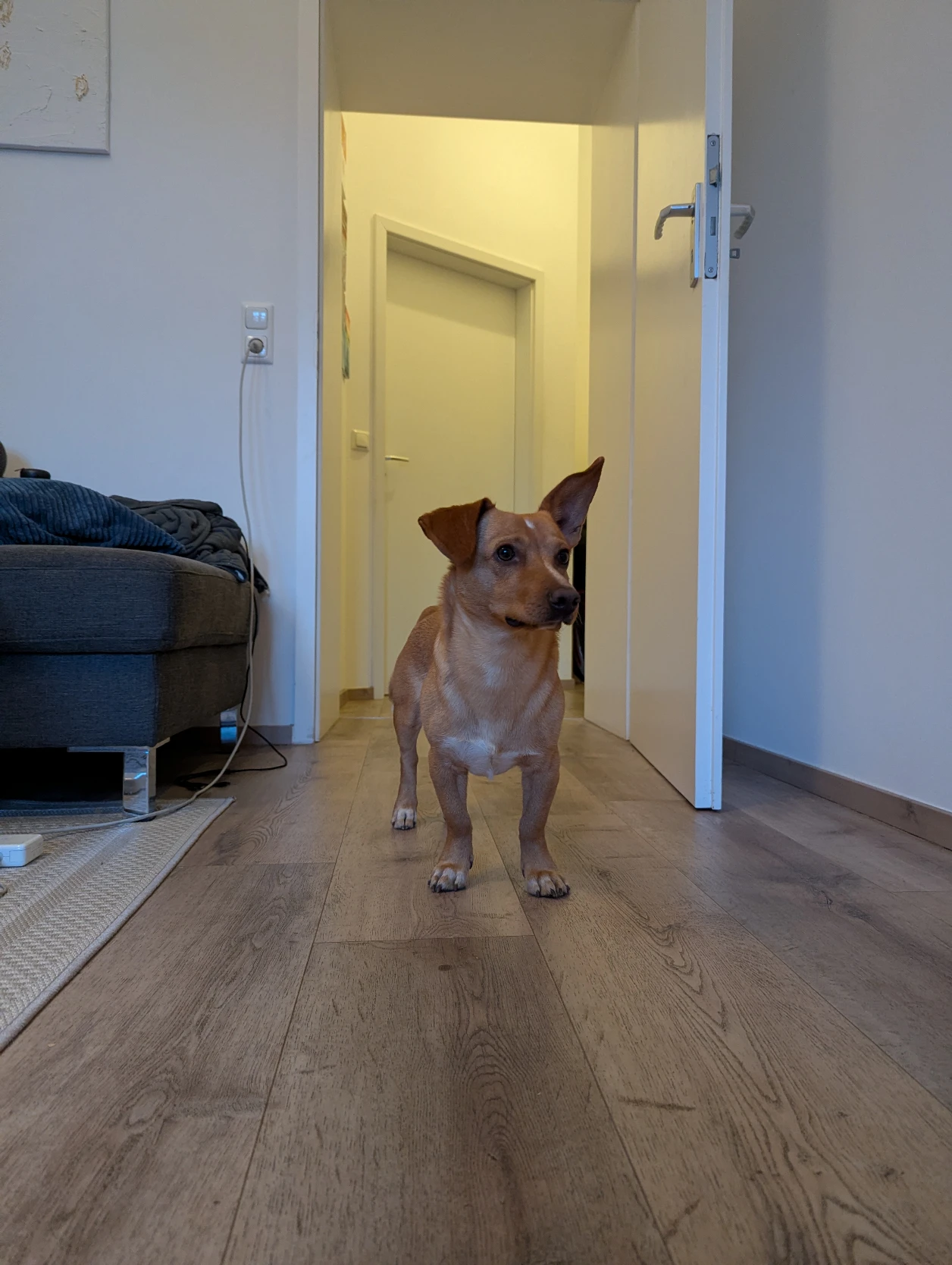 image-6