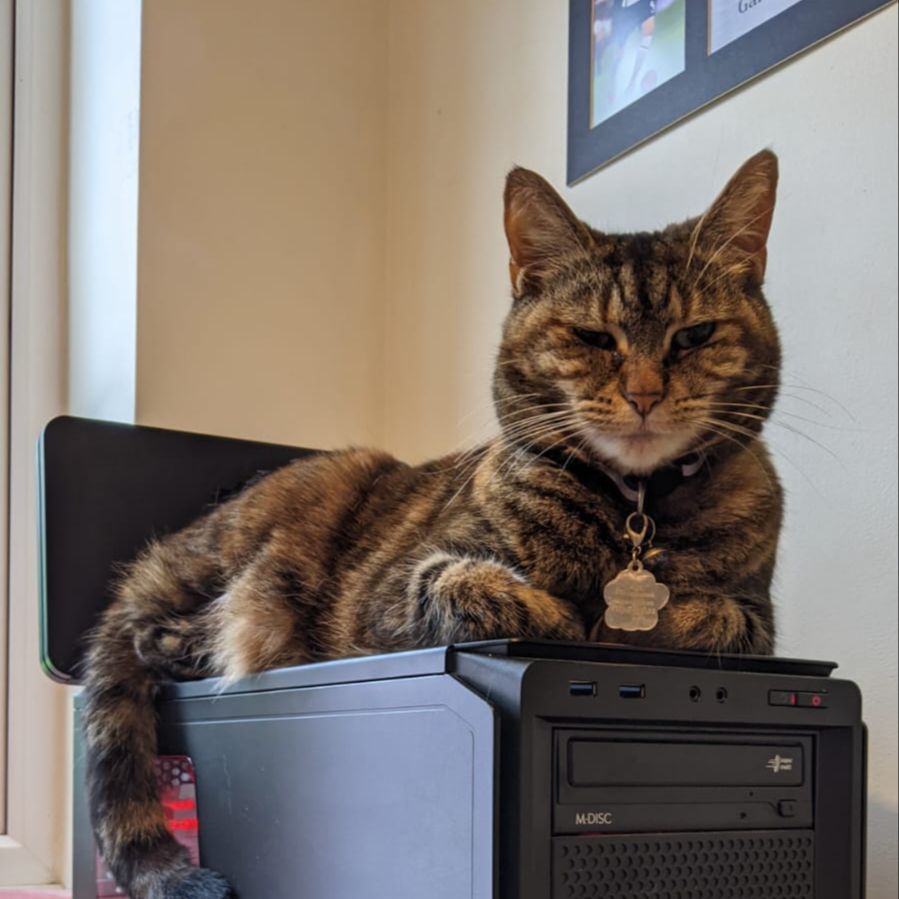 Mia