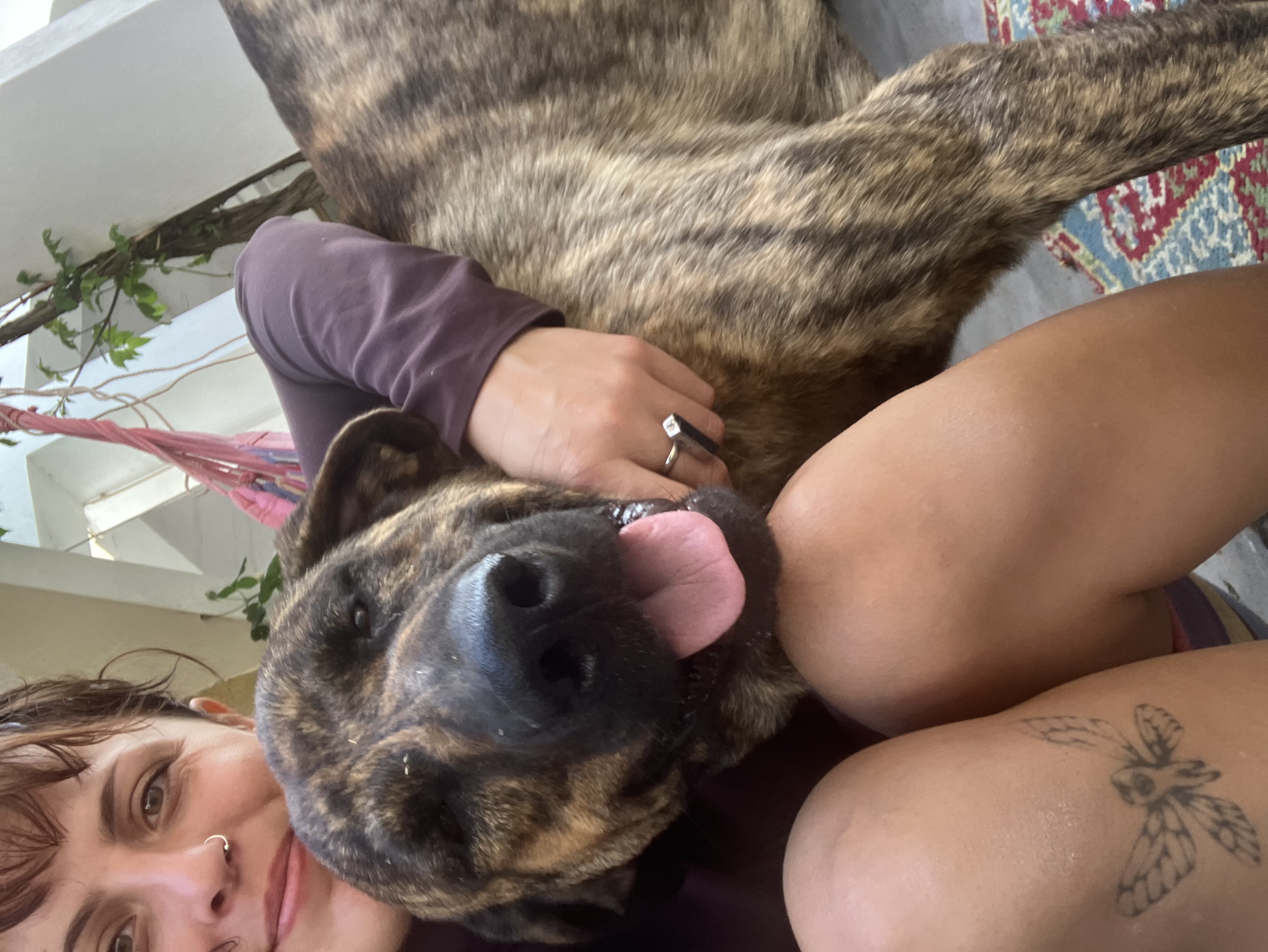 image-3