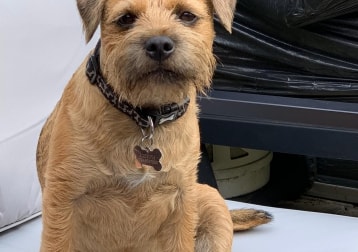 Digby