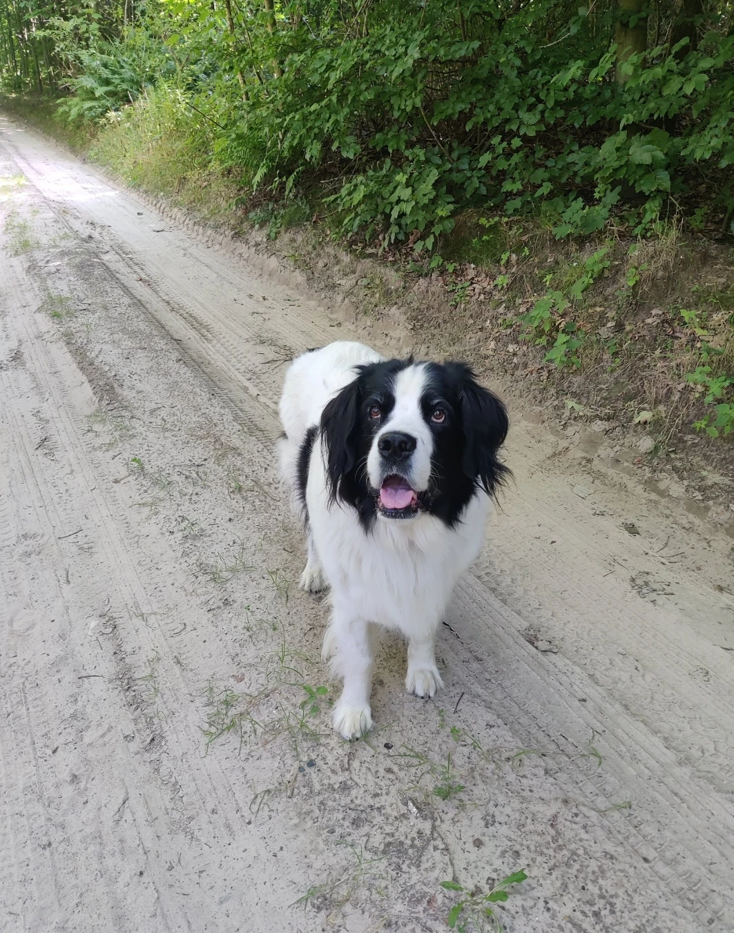 image-5