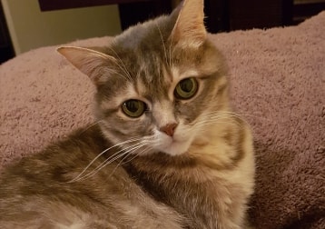 Coco Chanel (aka Coco'nut)