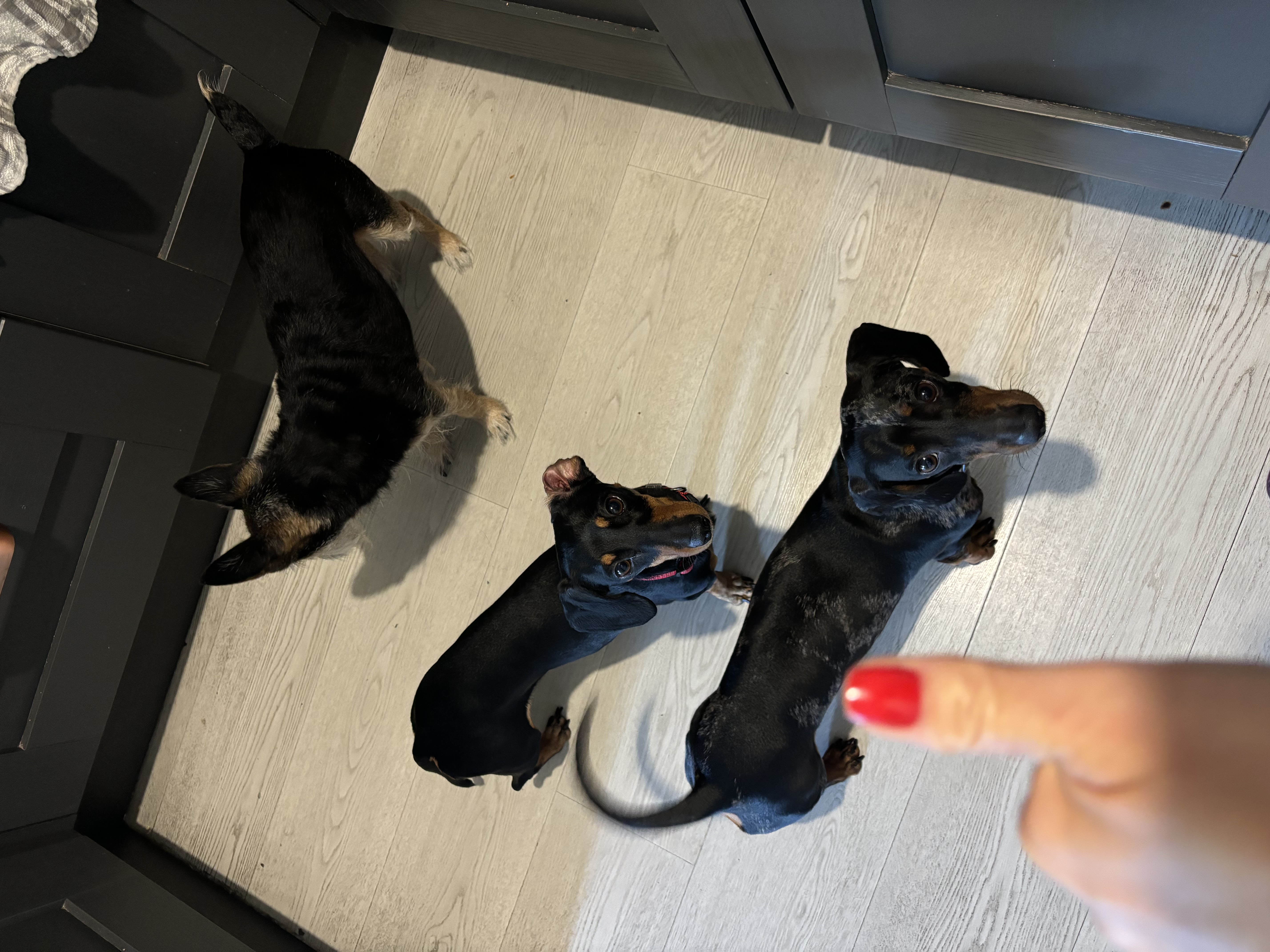 image-10
