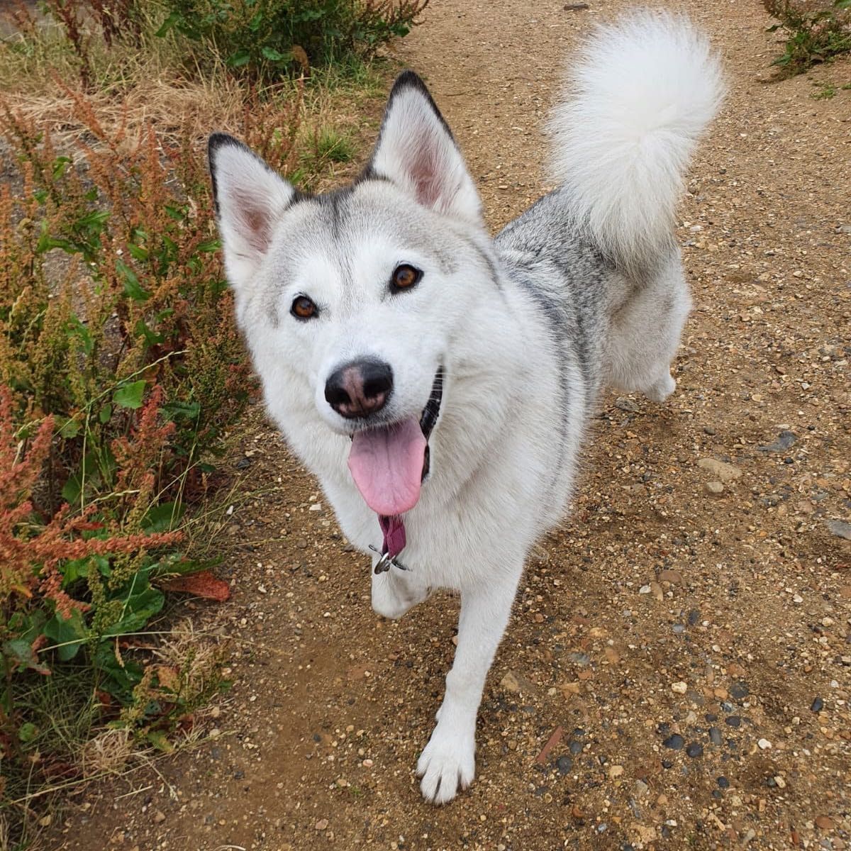 Luna
