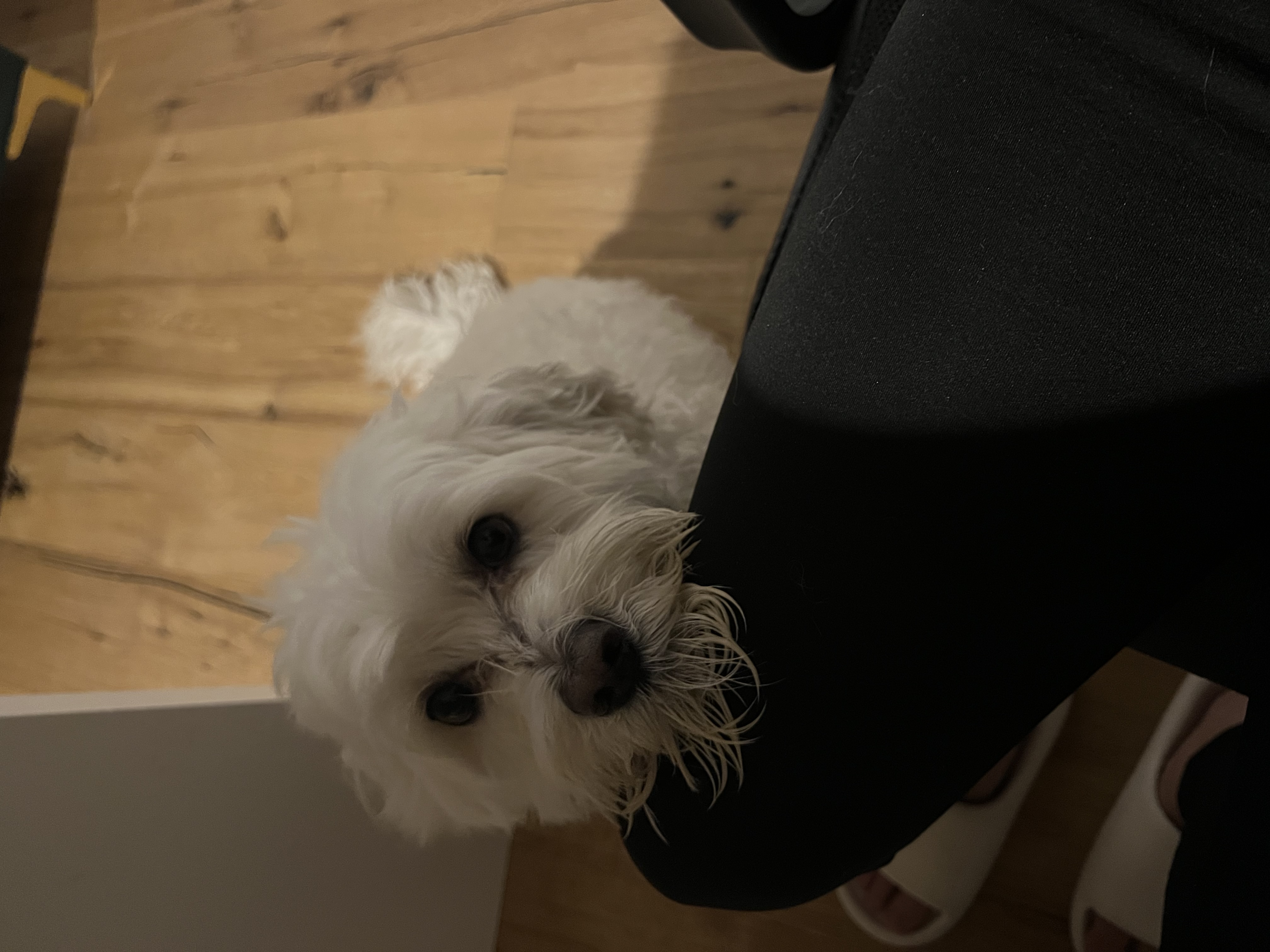 image-9