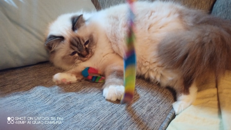 image-0