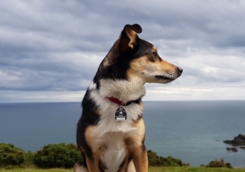 Ella