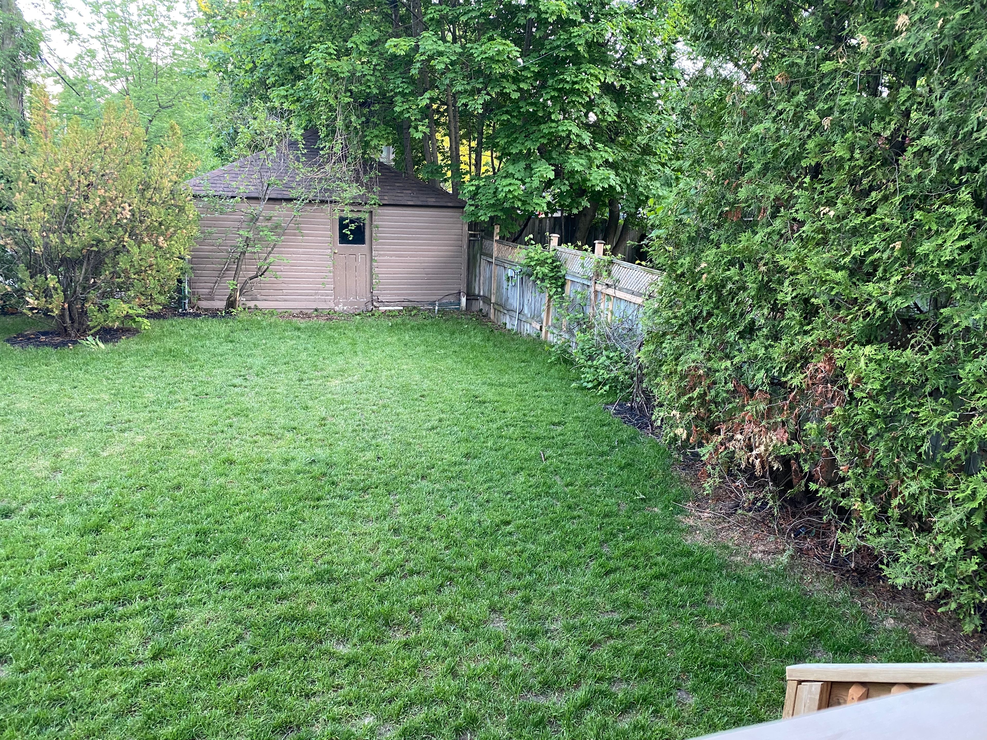 image-15