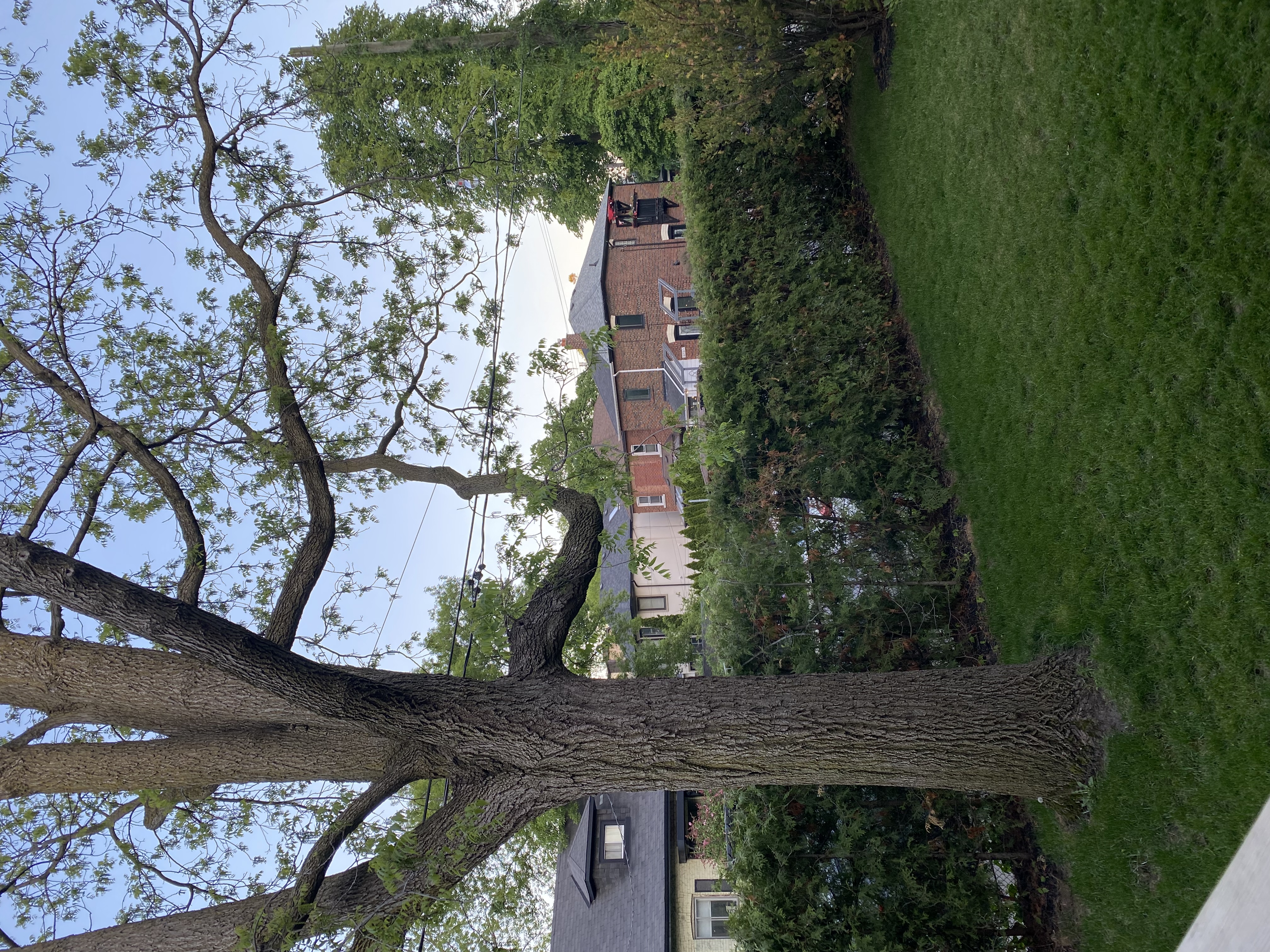 image-17