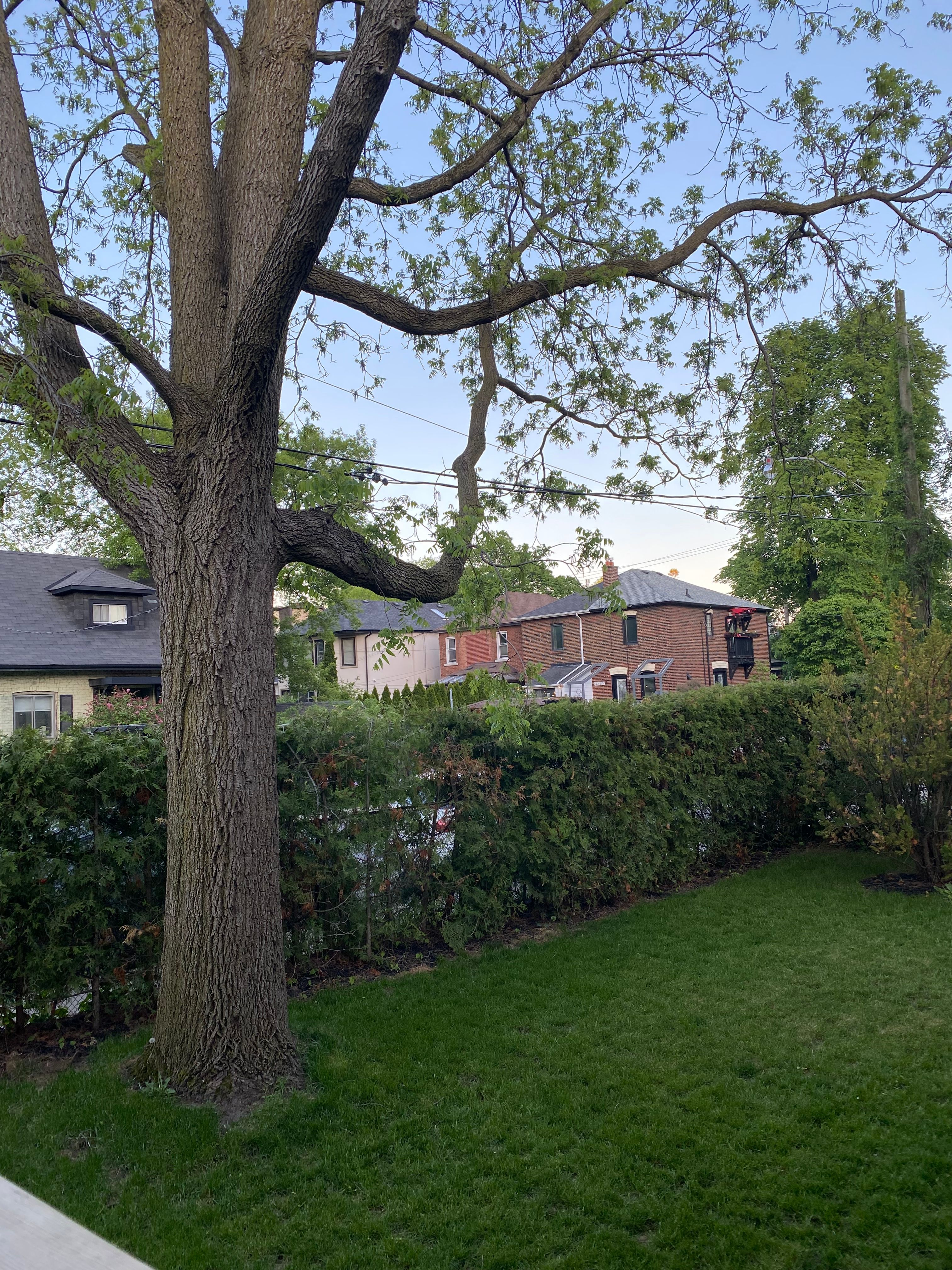 image-17