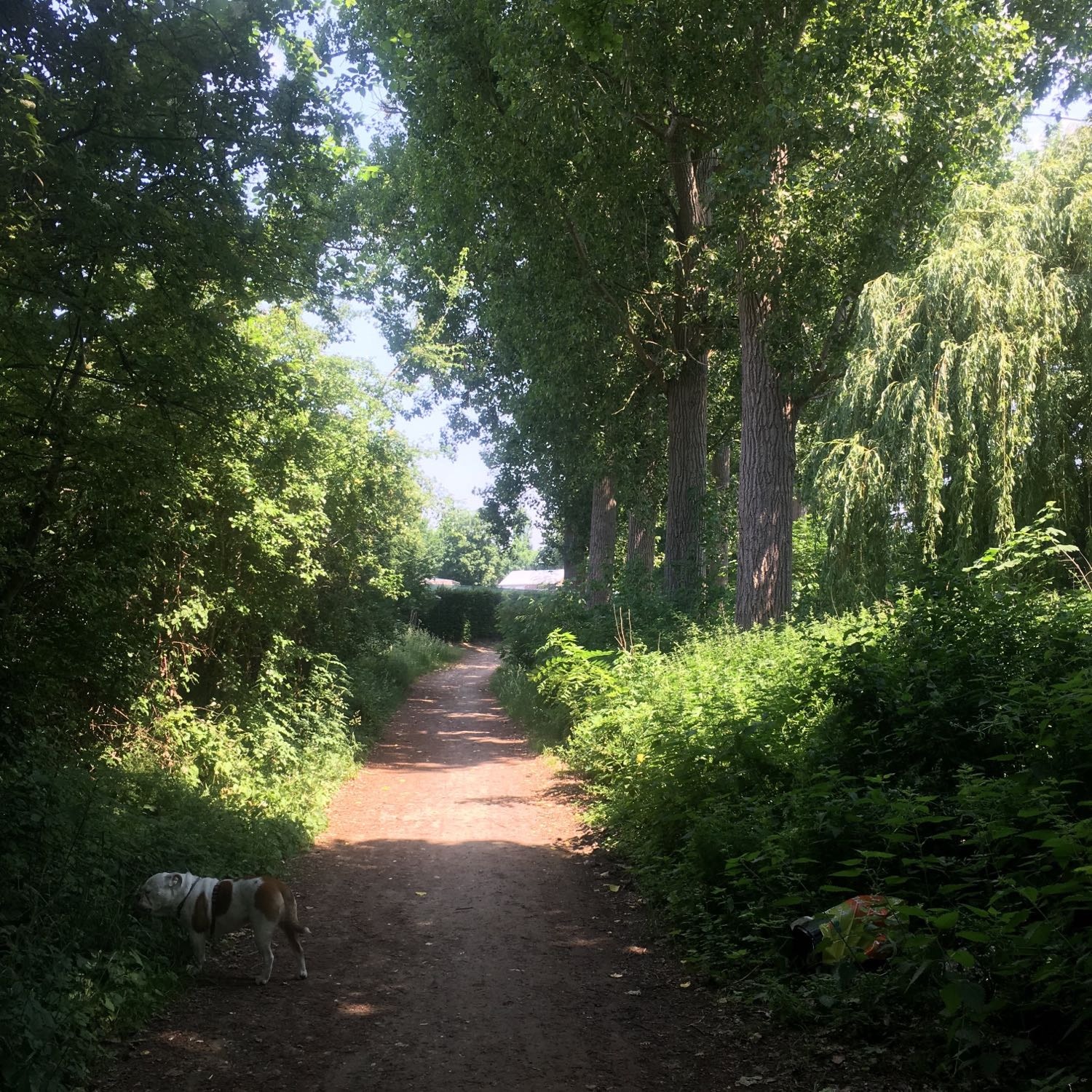 image-5