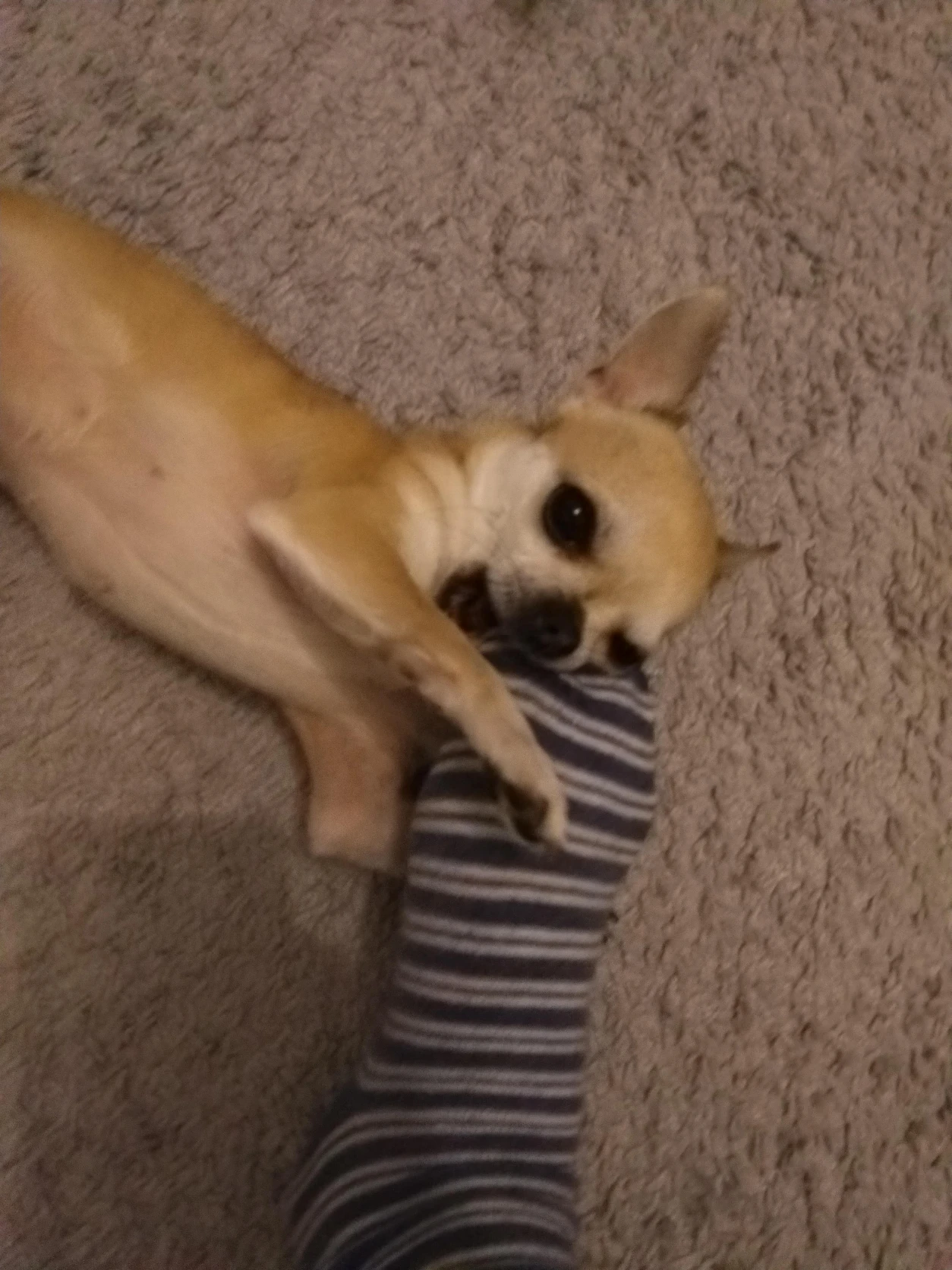 image-12