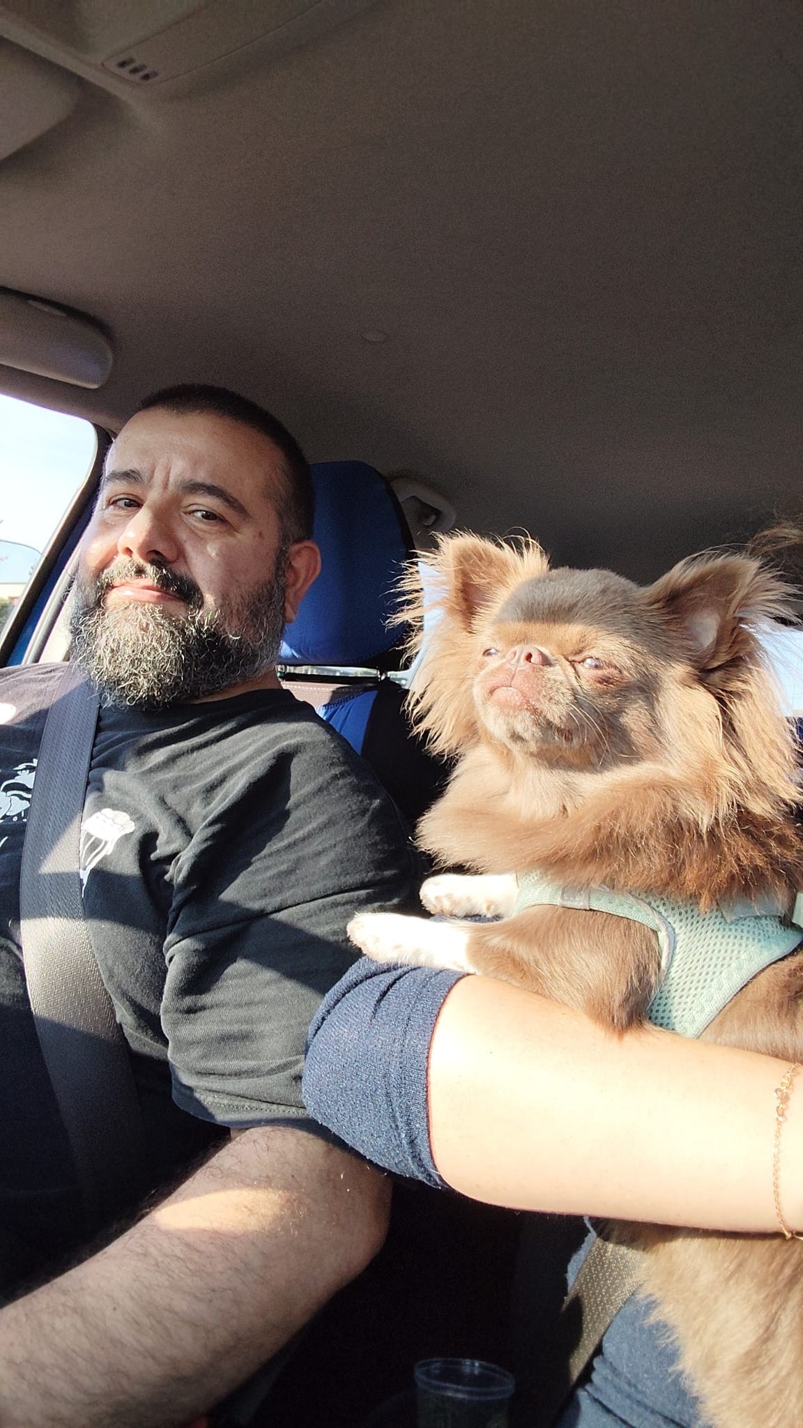 image-0