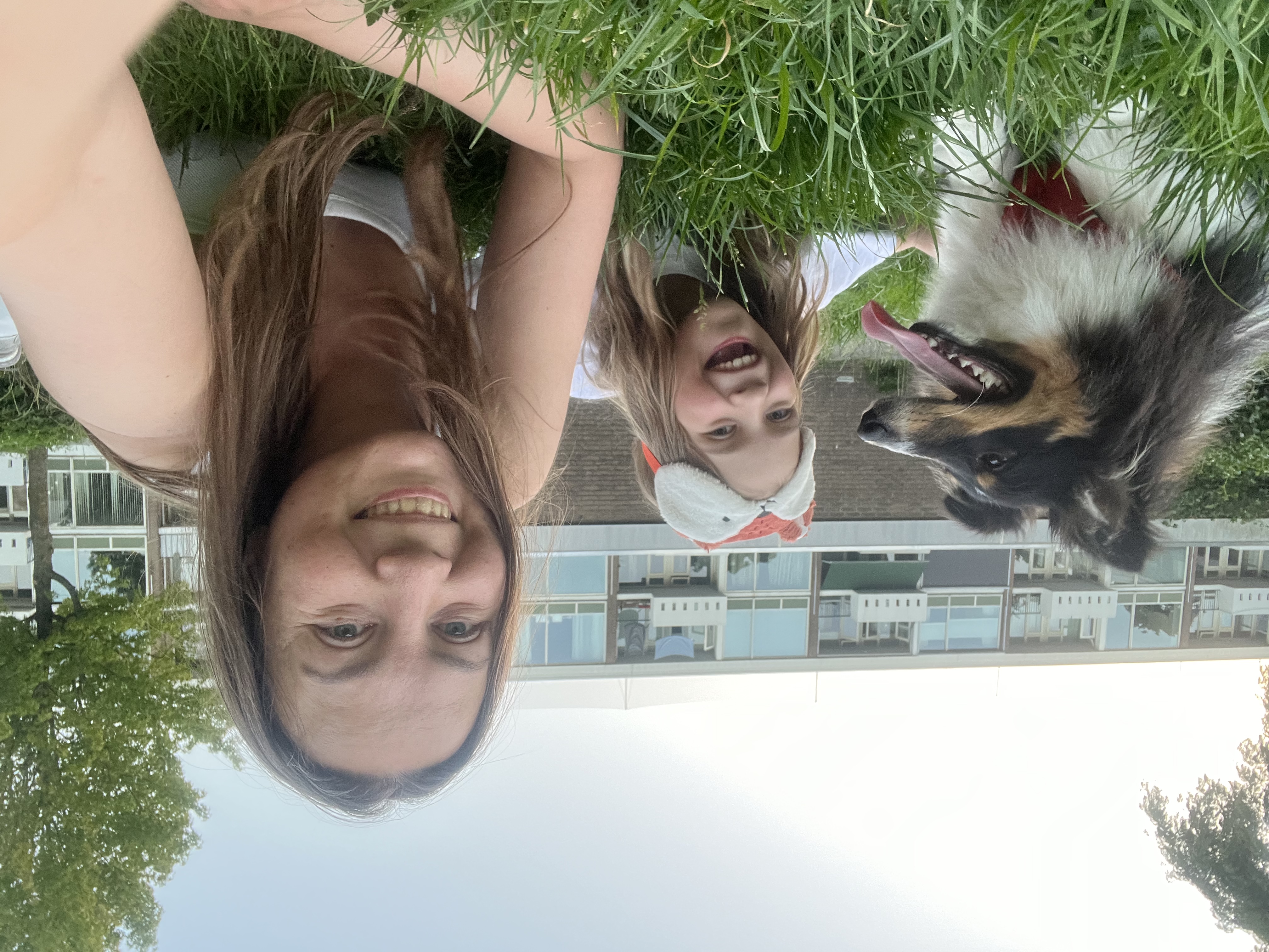 image-4