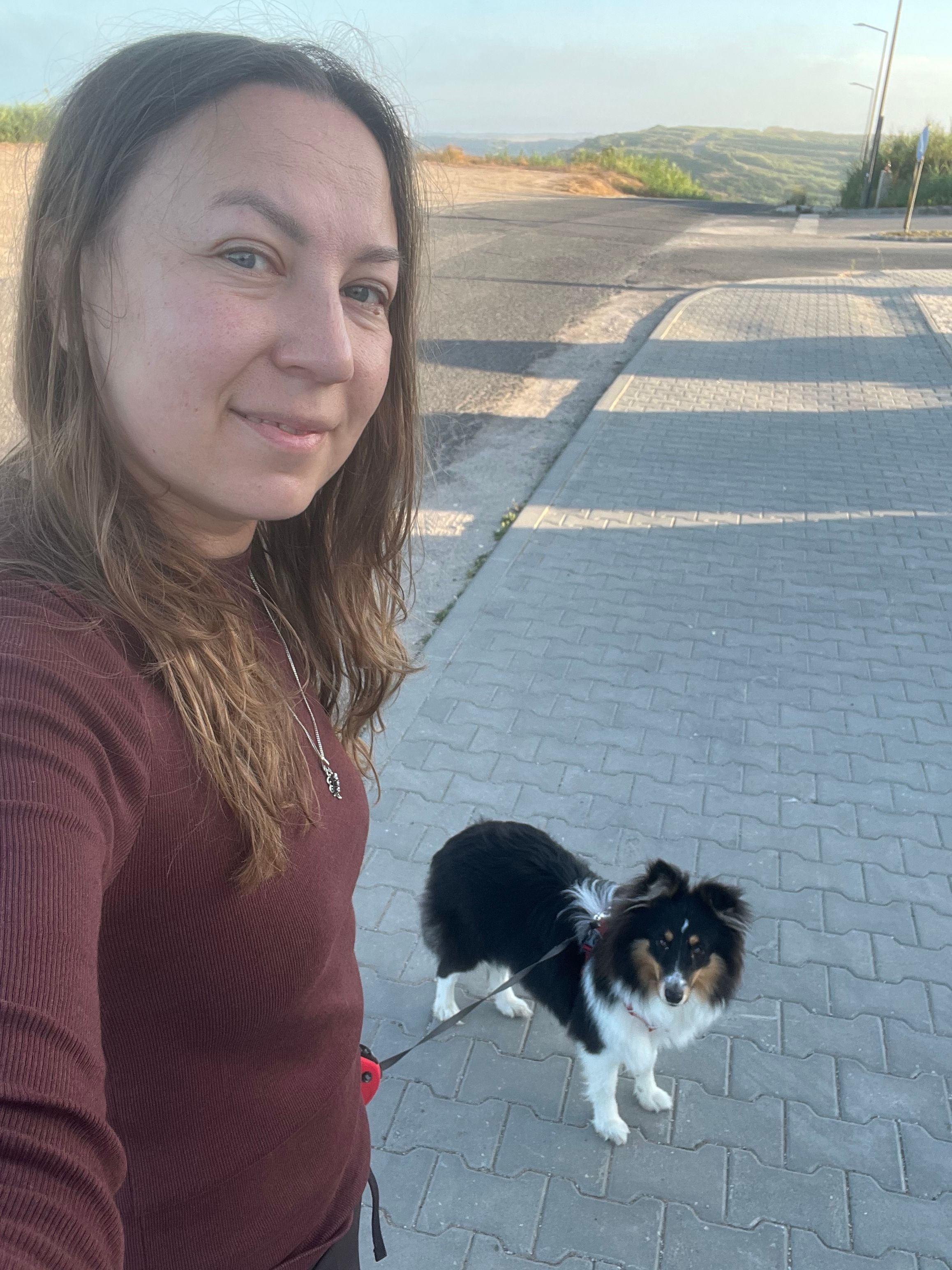 image-2