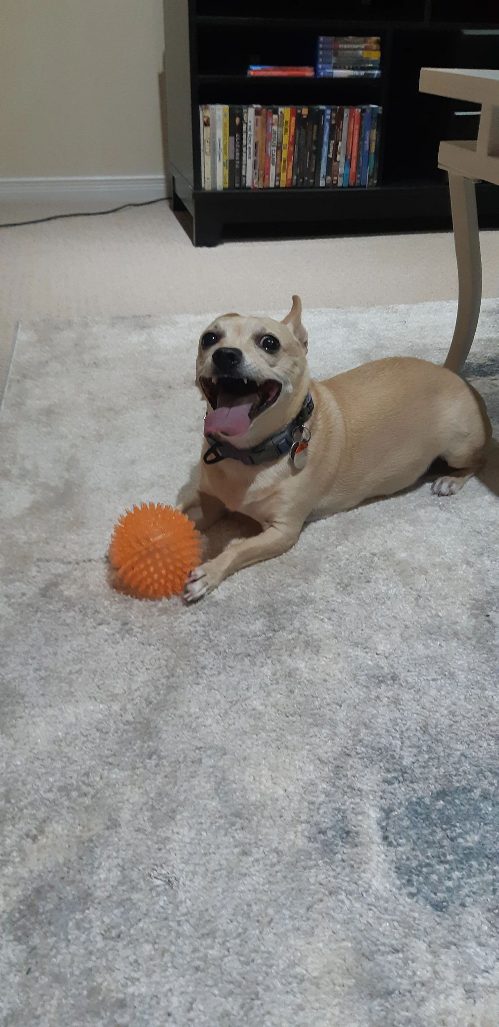 image-7