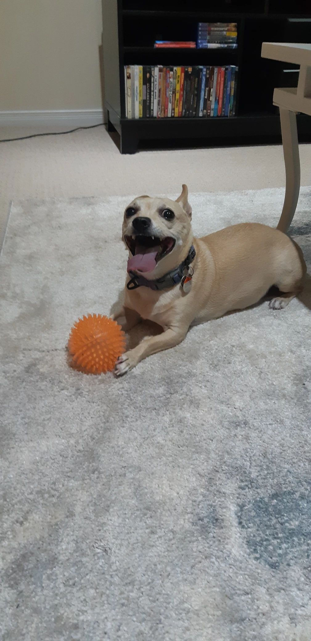 image-7
