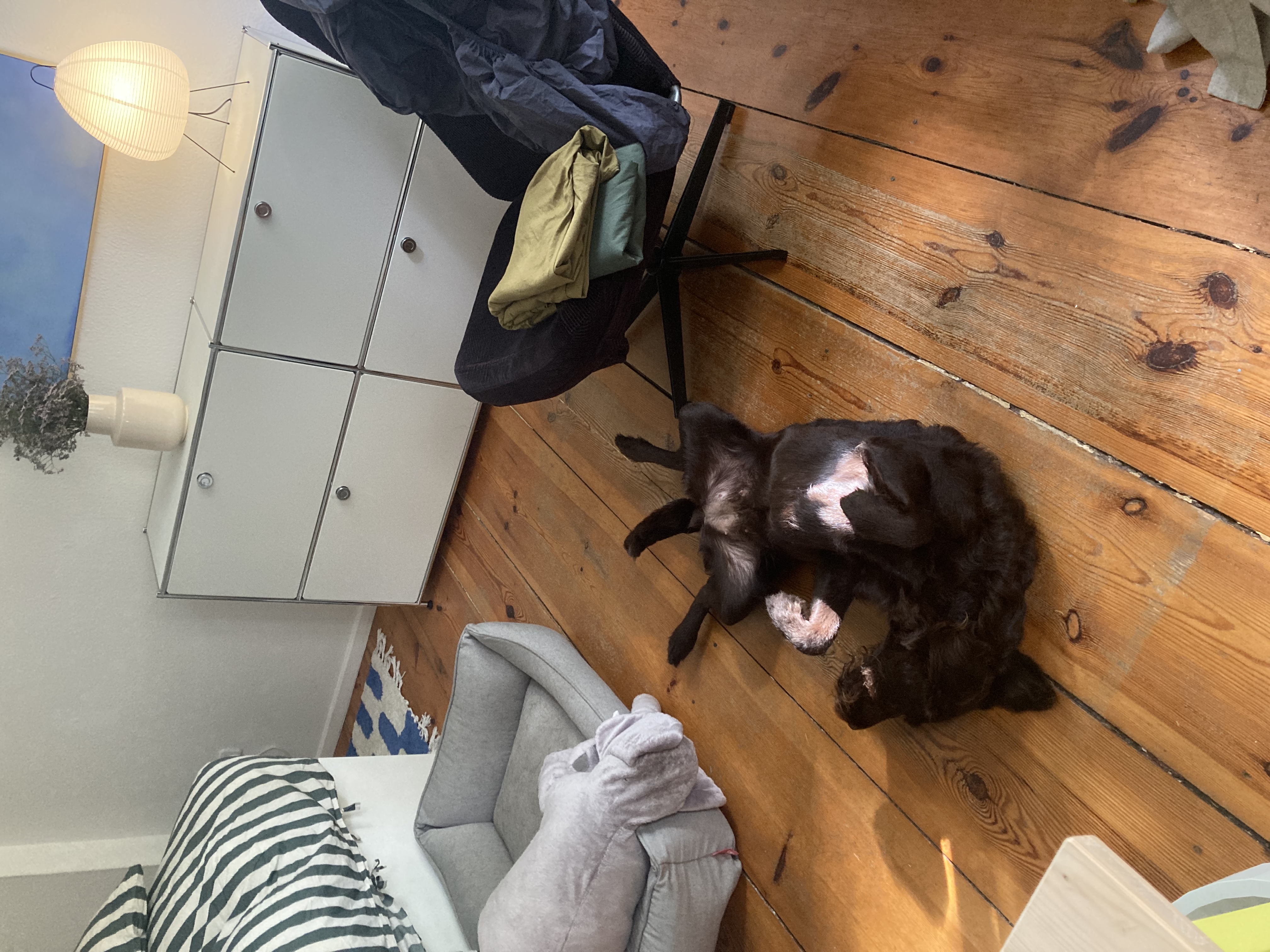 image-13