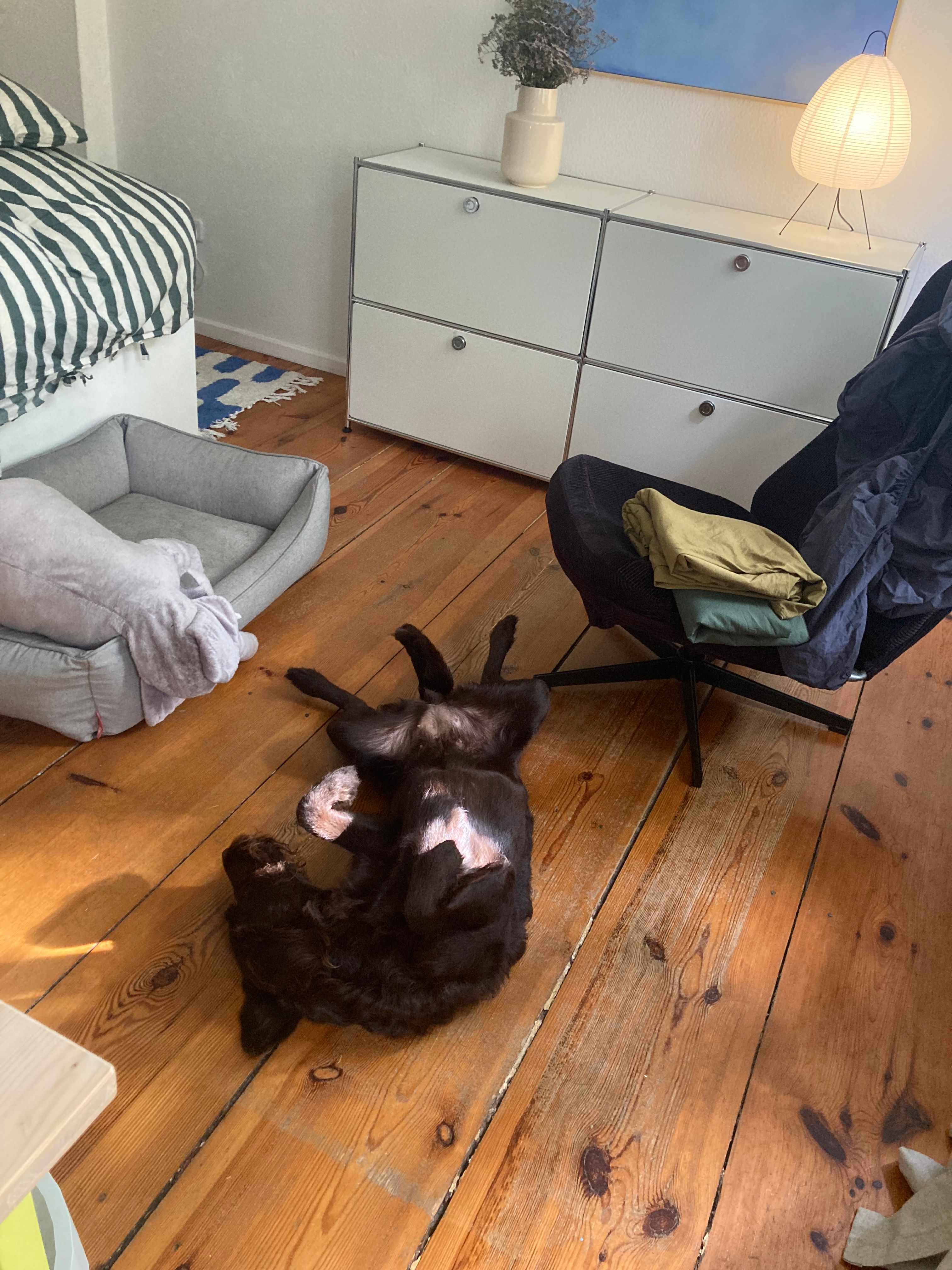 image-13