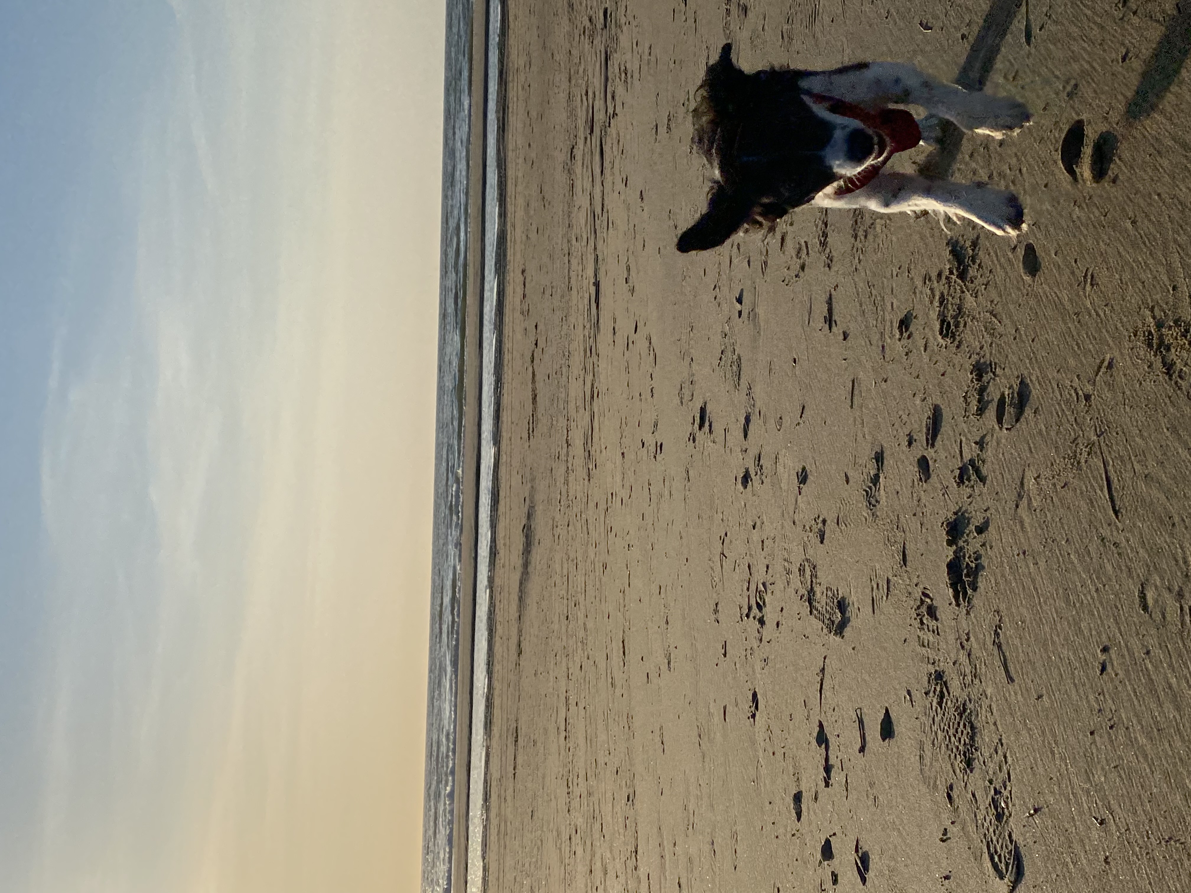 image-16