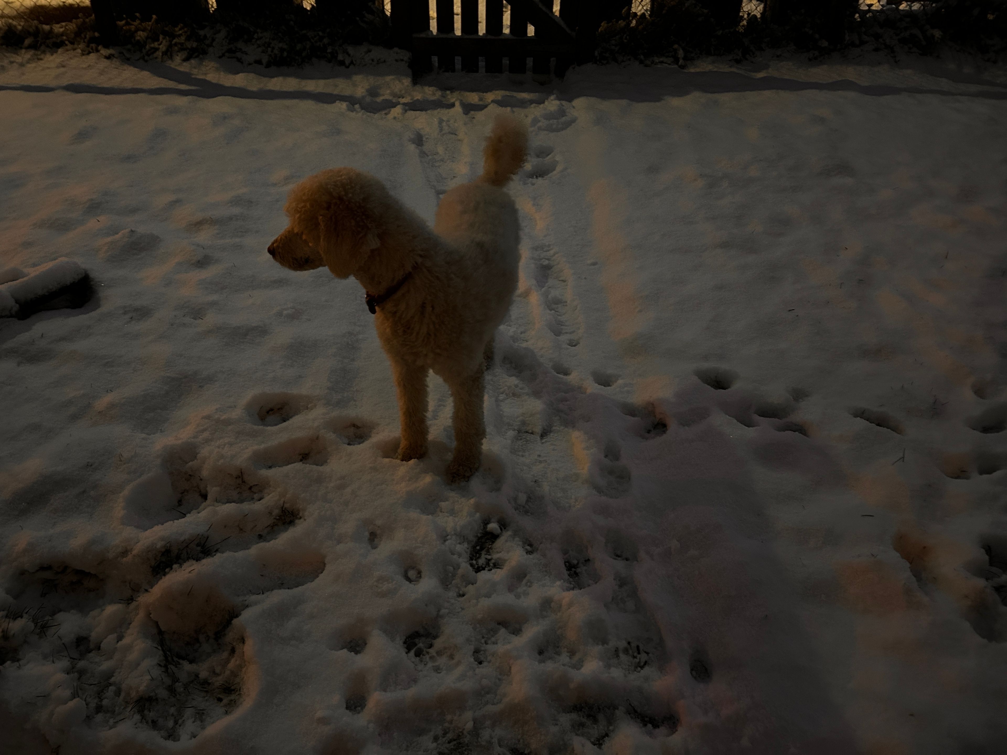 image-8