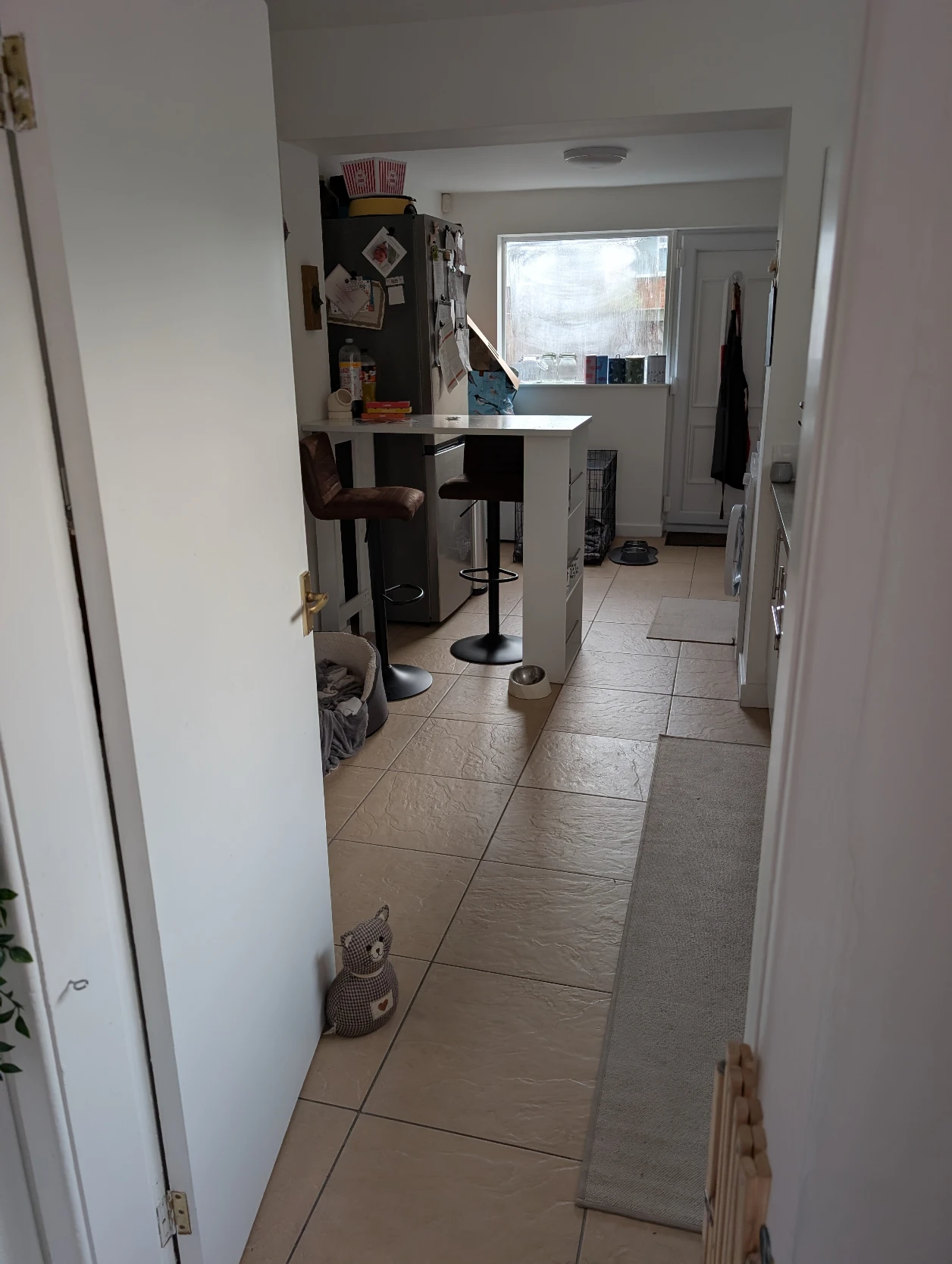 image-7