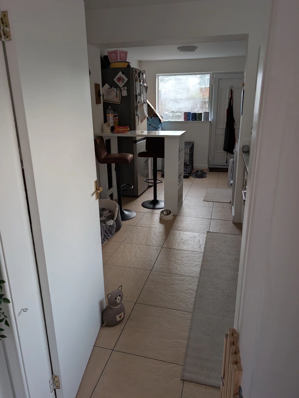 image-7