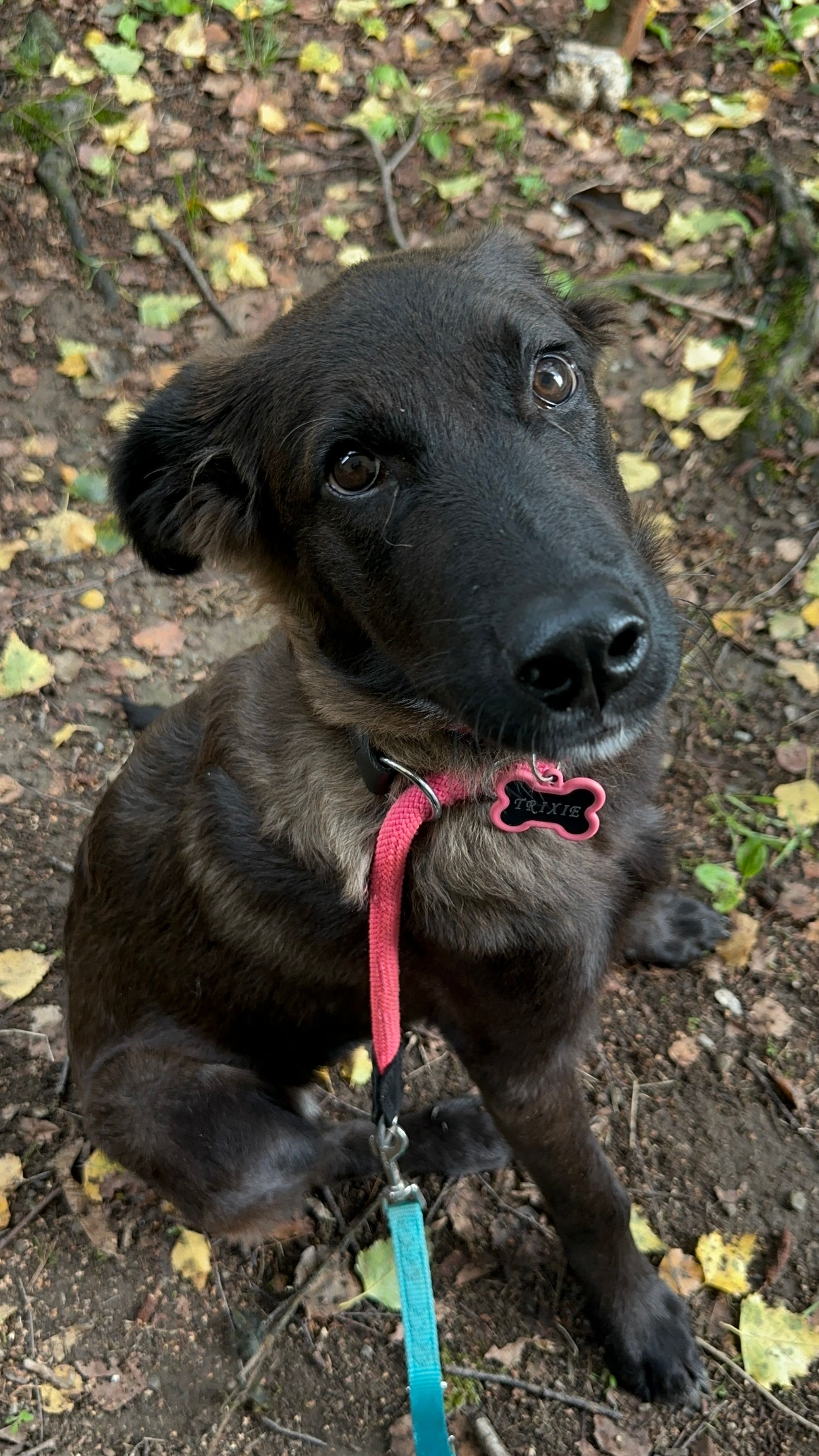 image-9