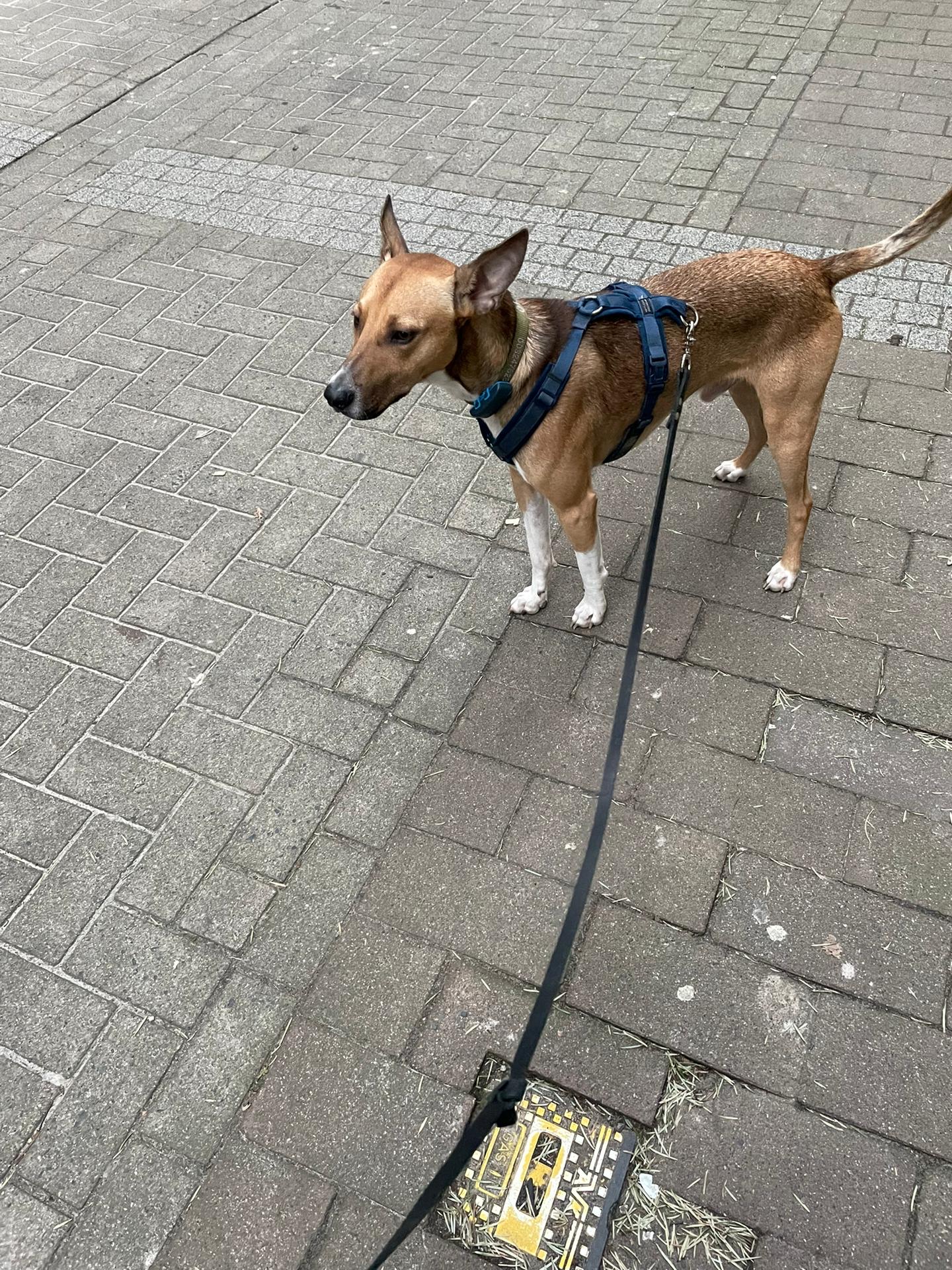 image-14