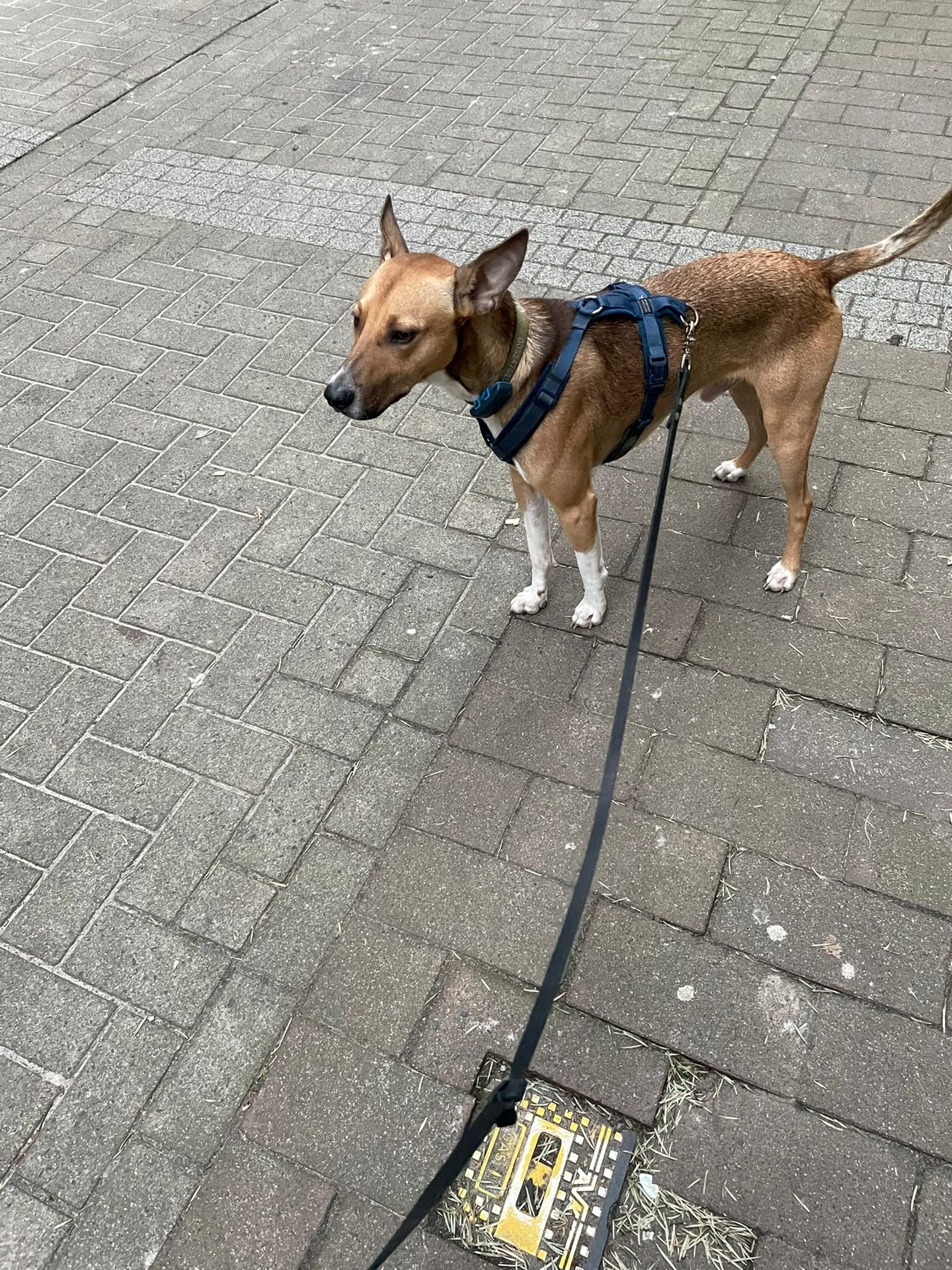 image-14