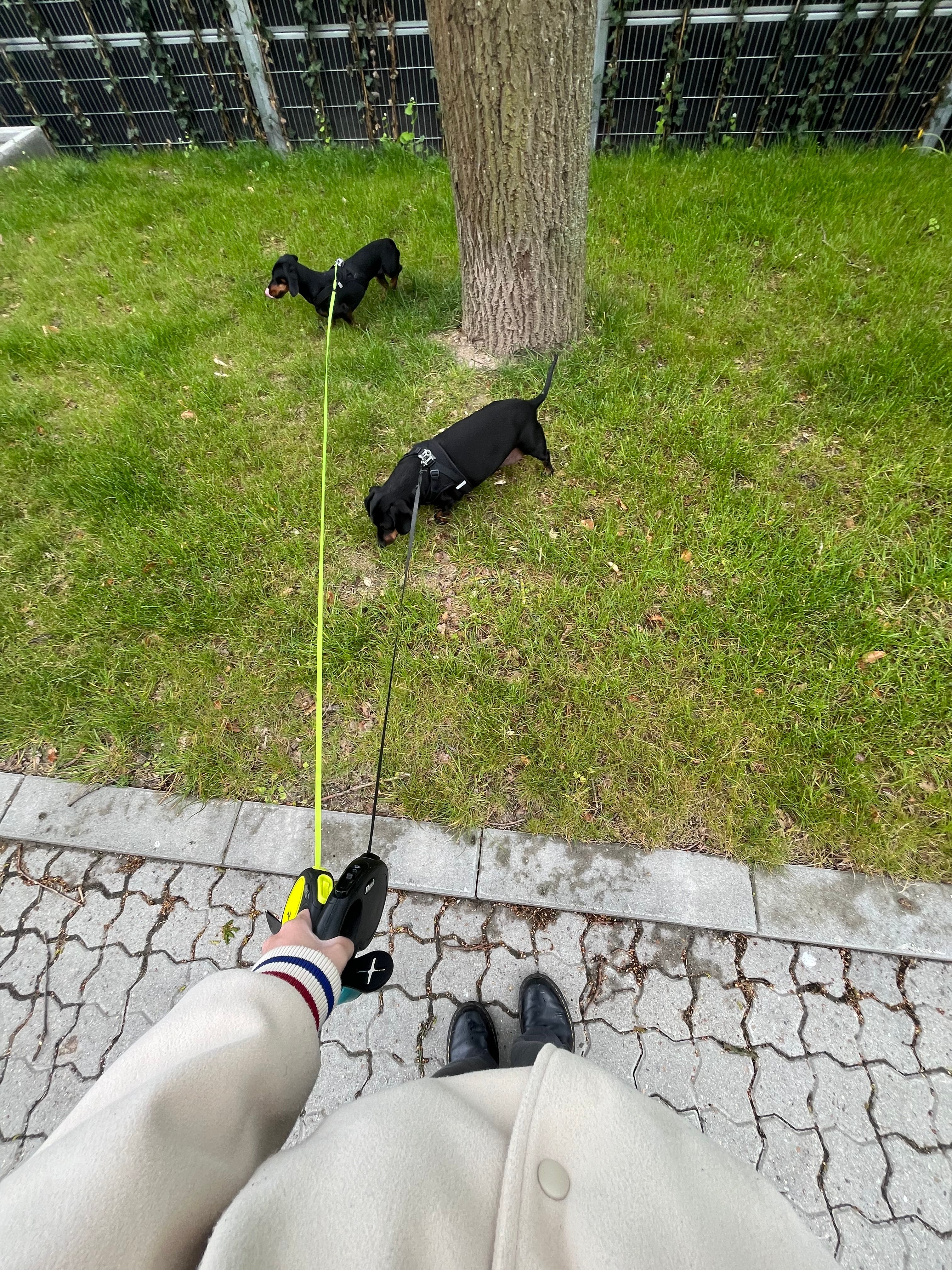 image-10