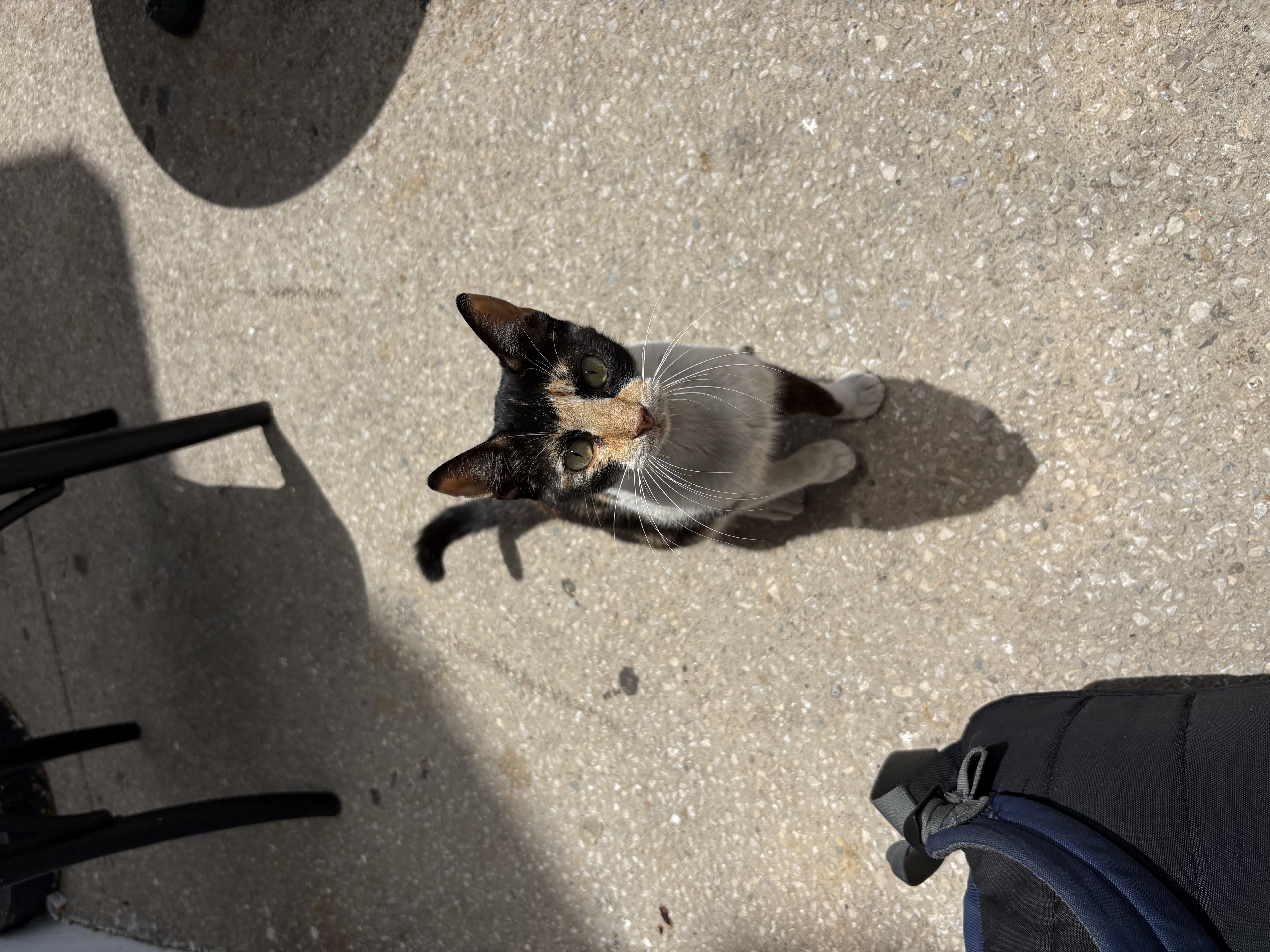 image-16