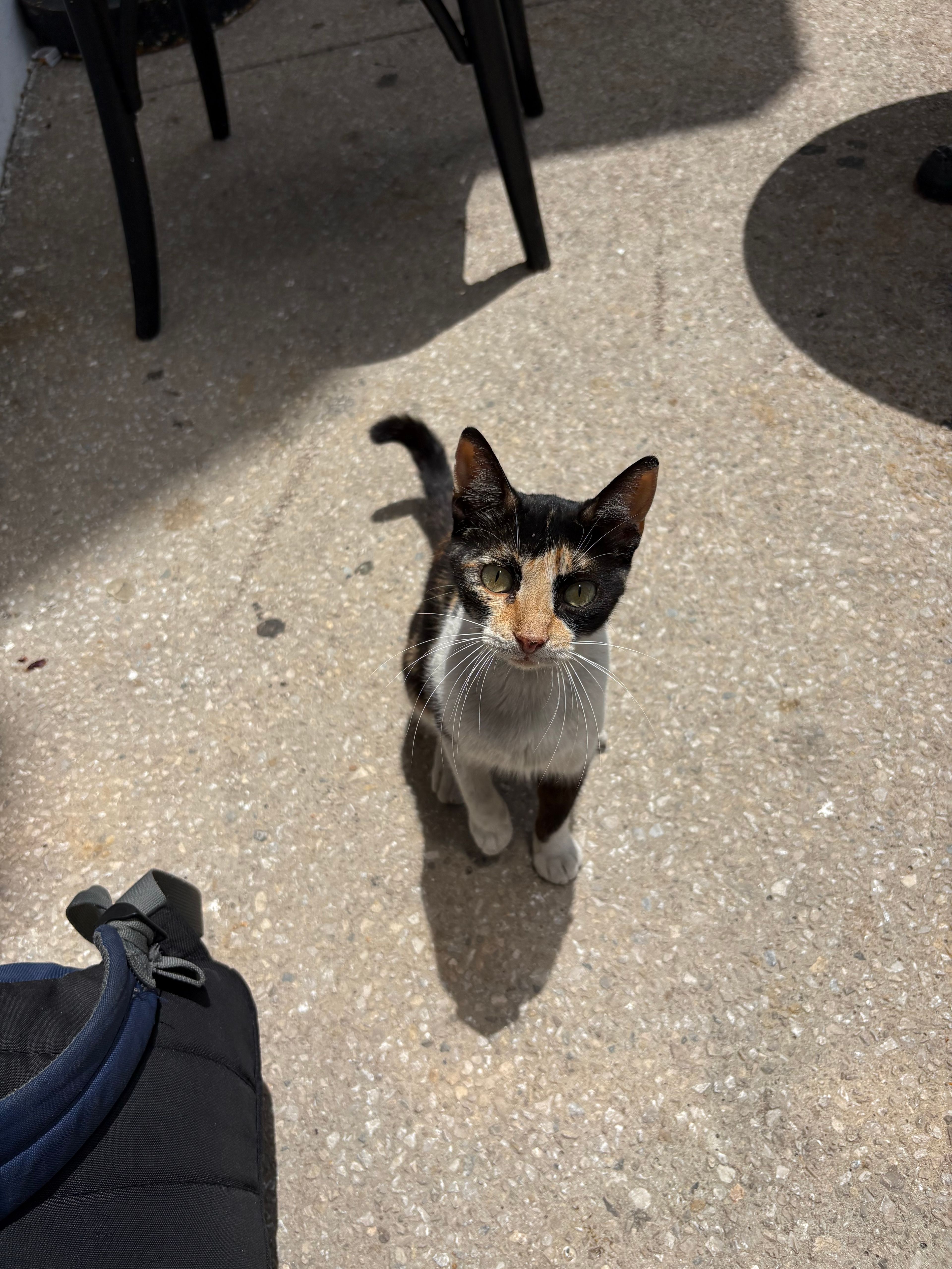 image-16