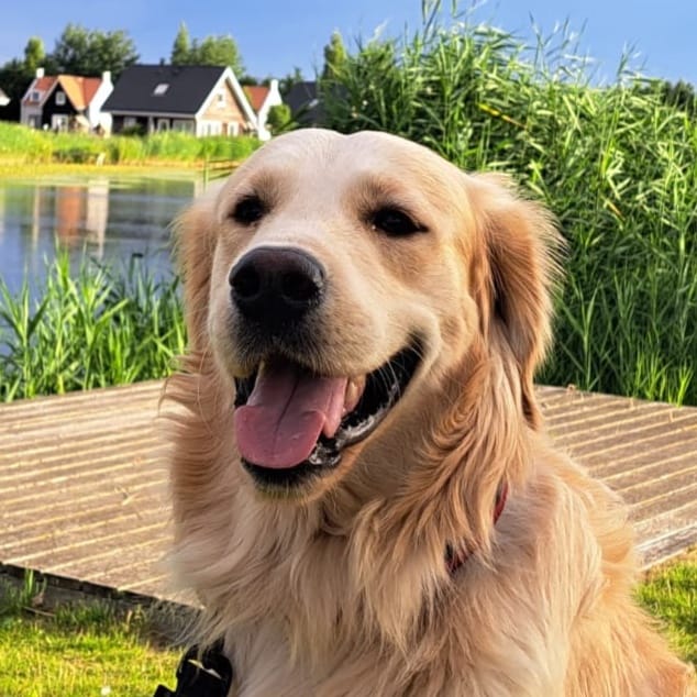 Bo
