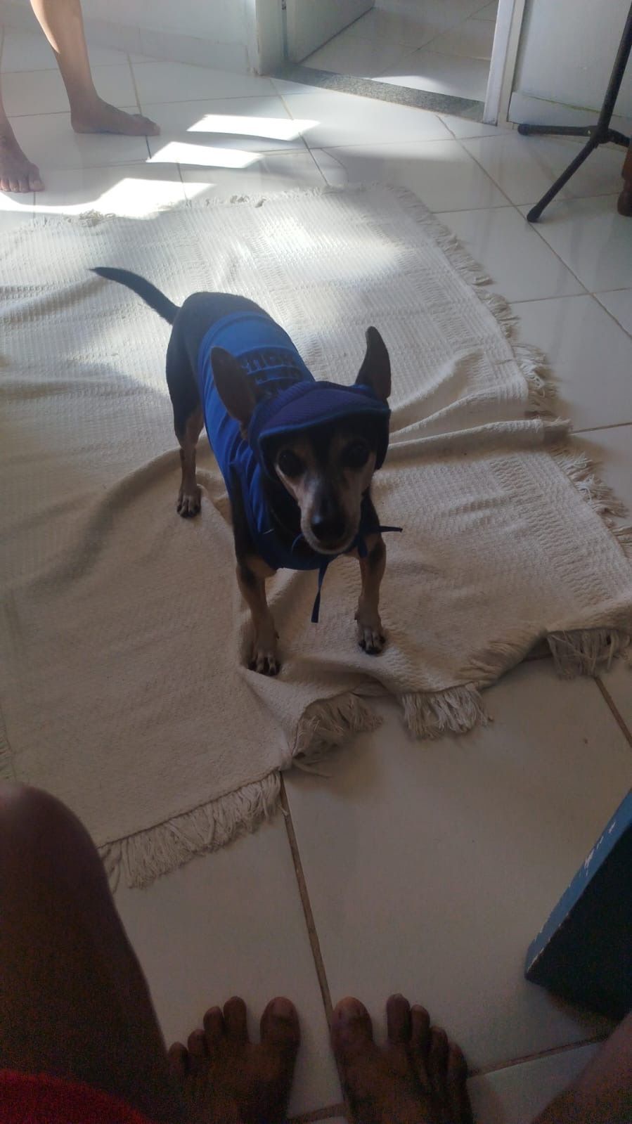 image-5