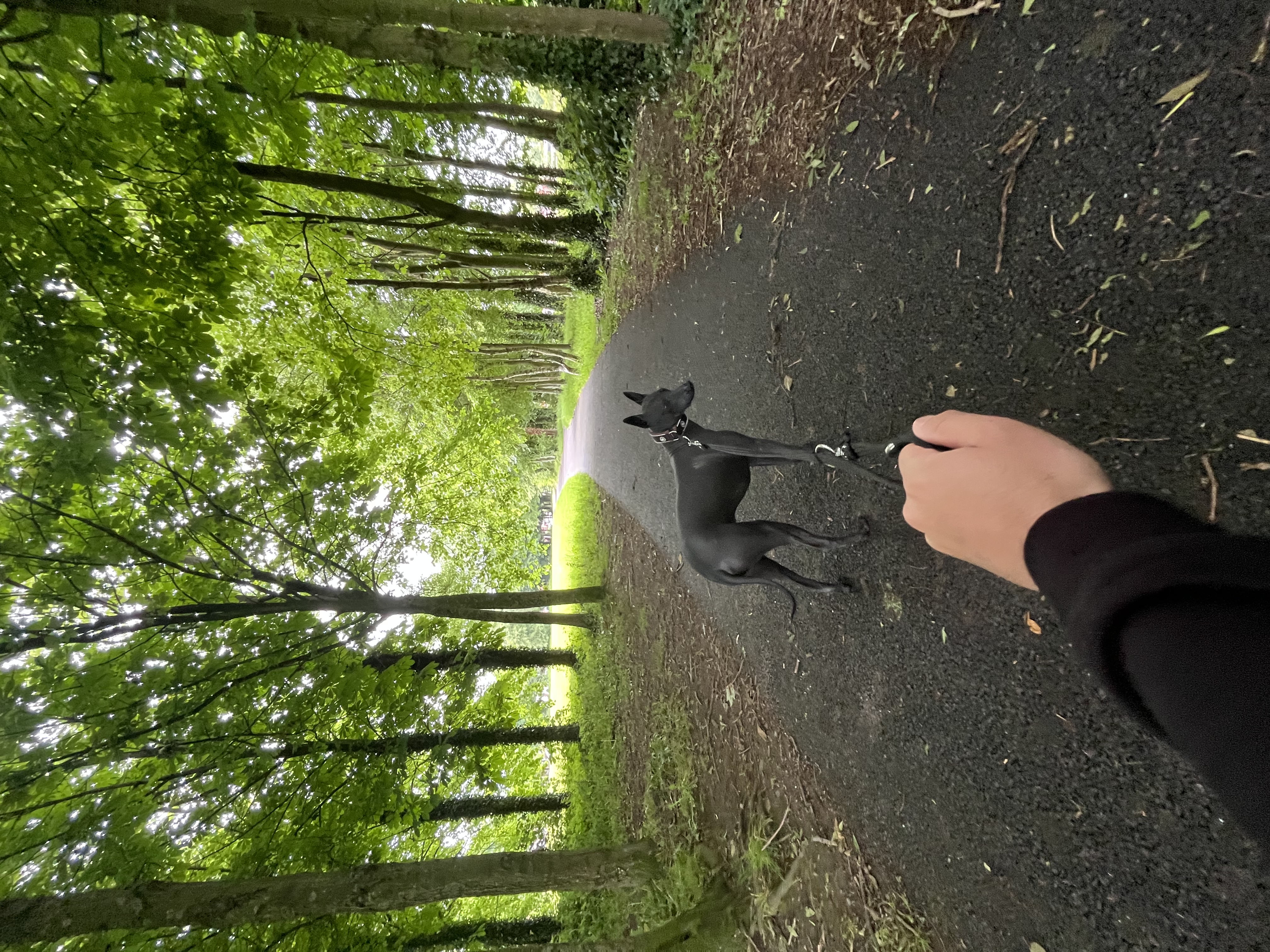 image-7