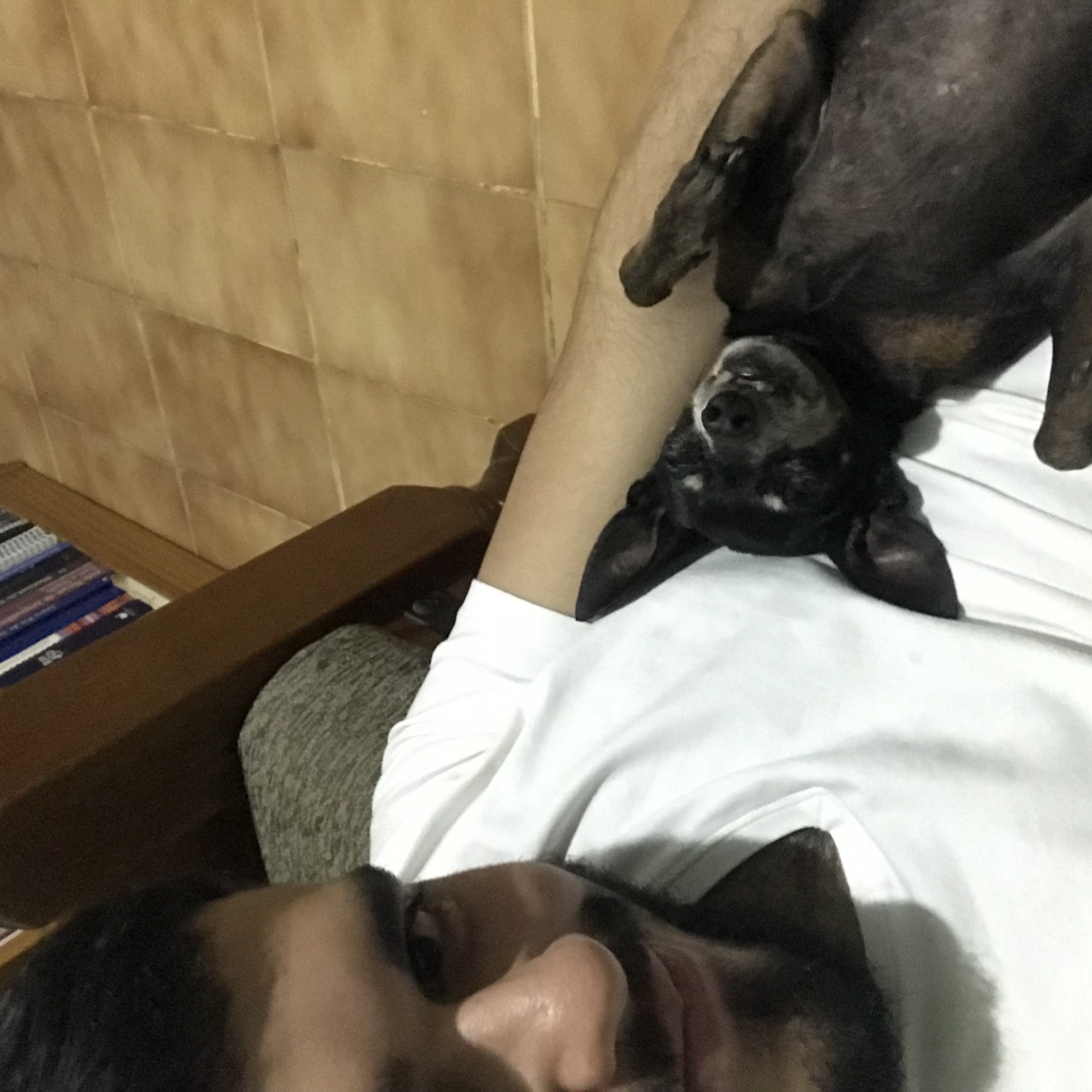 image-8