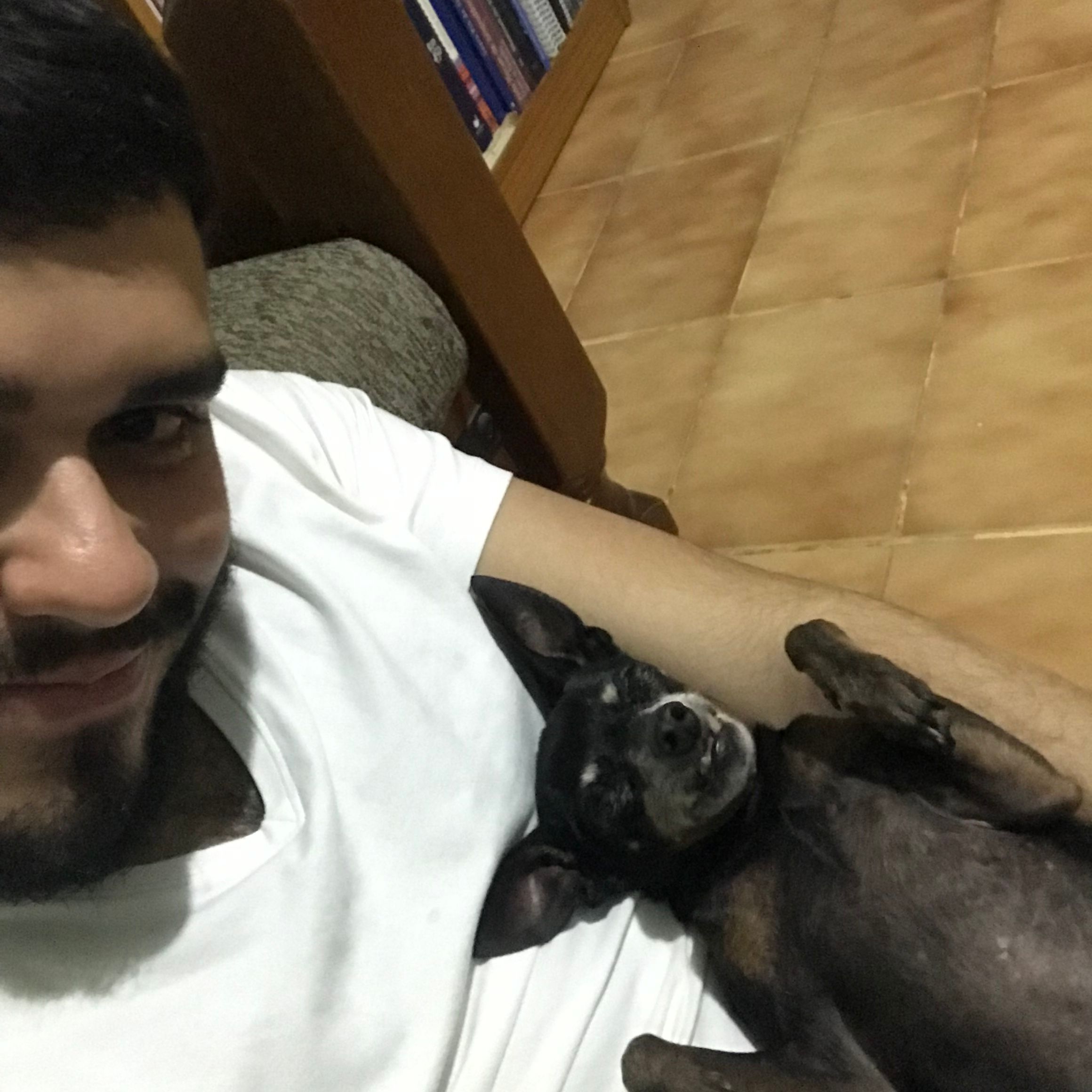 image-8