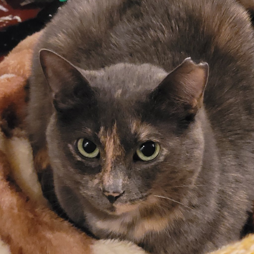 Munchie / Munchilina / Munchor / Egg