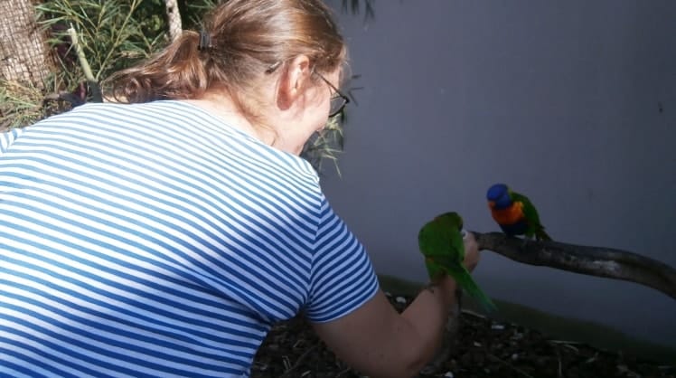 image-3