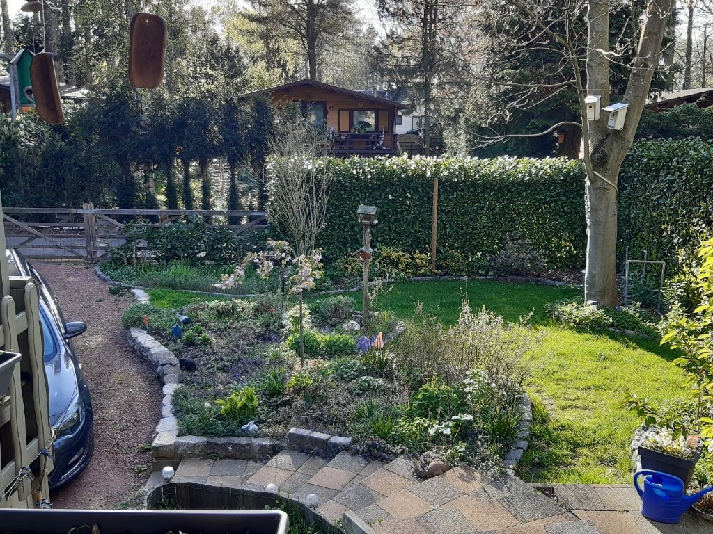 image-16