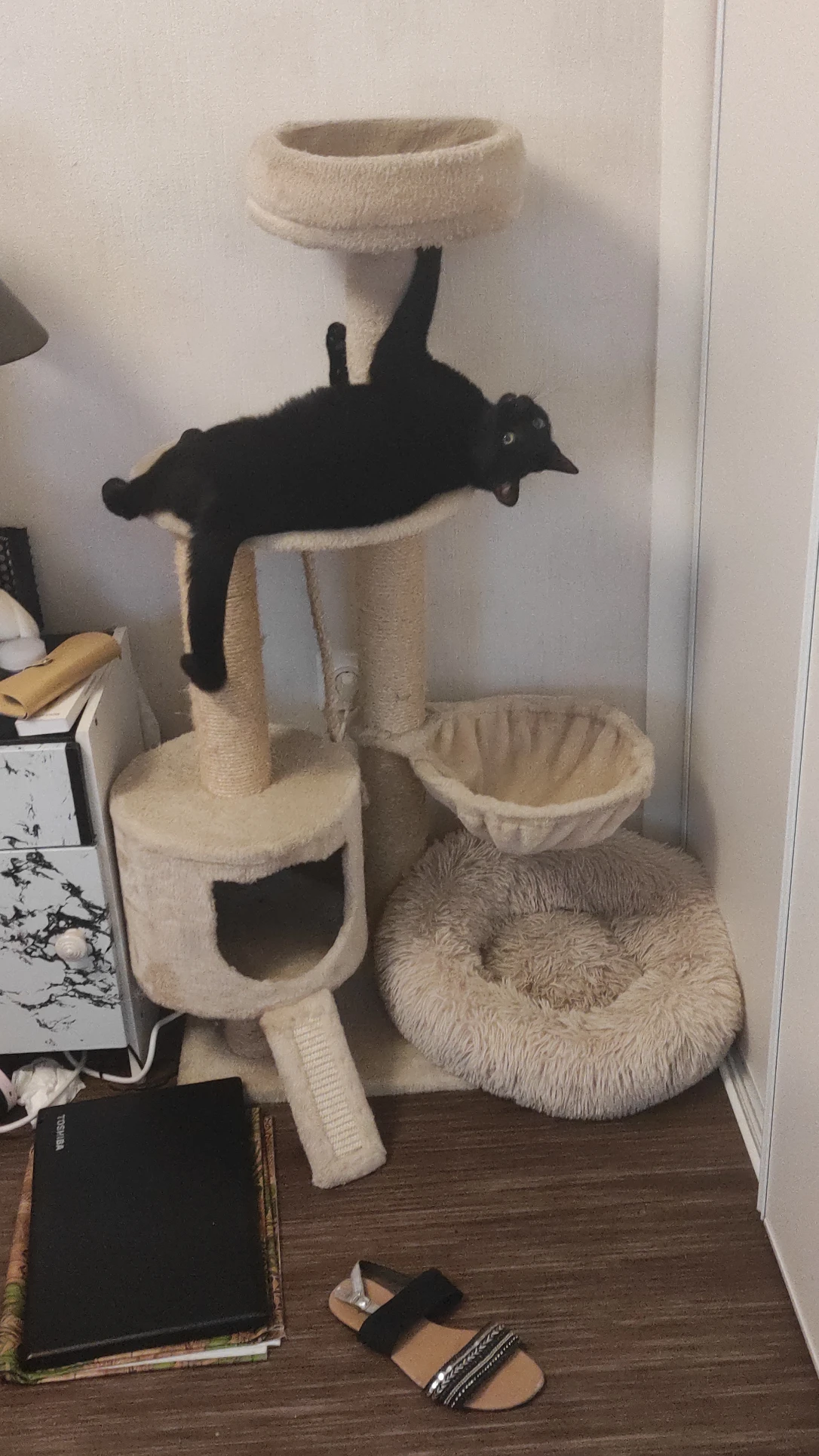 image-16