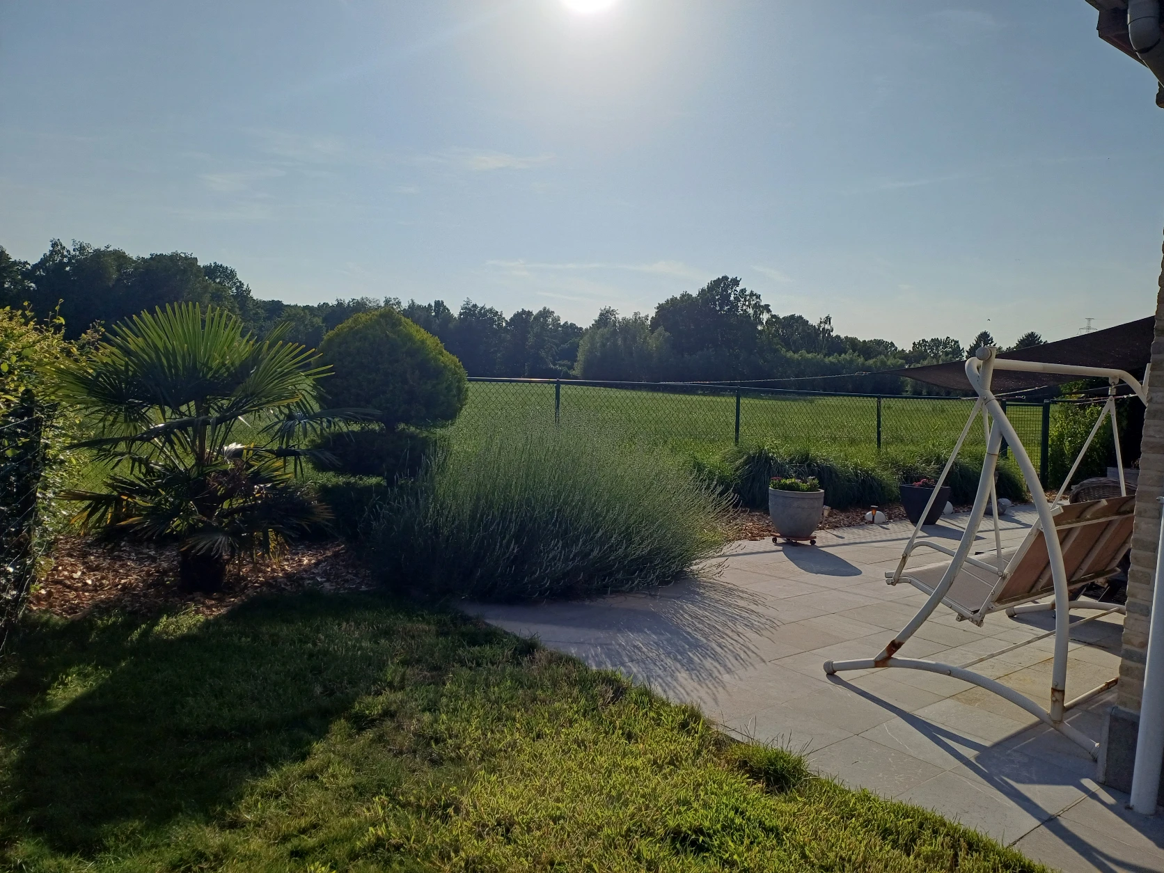 image-27