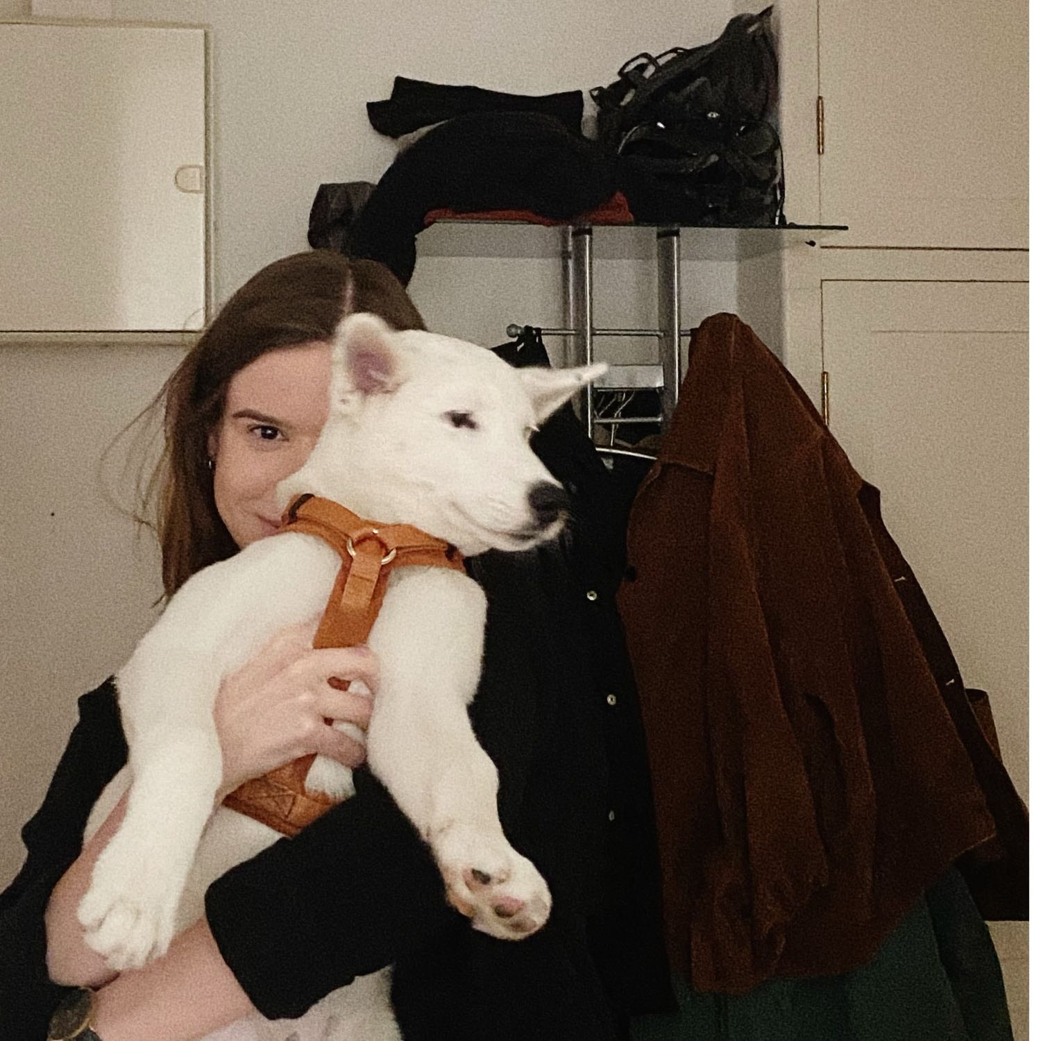 image-8